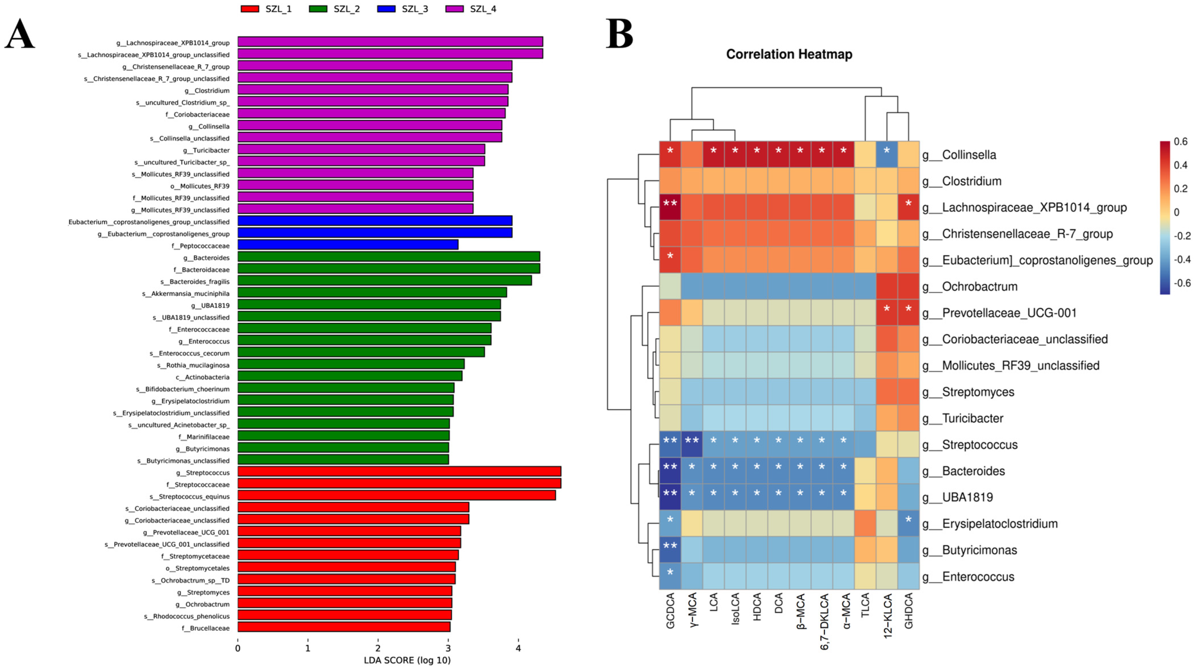 Metabolites 13 00068 g004 Metabolites 13 00068 g004