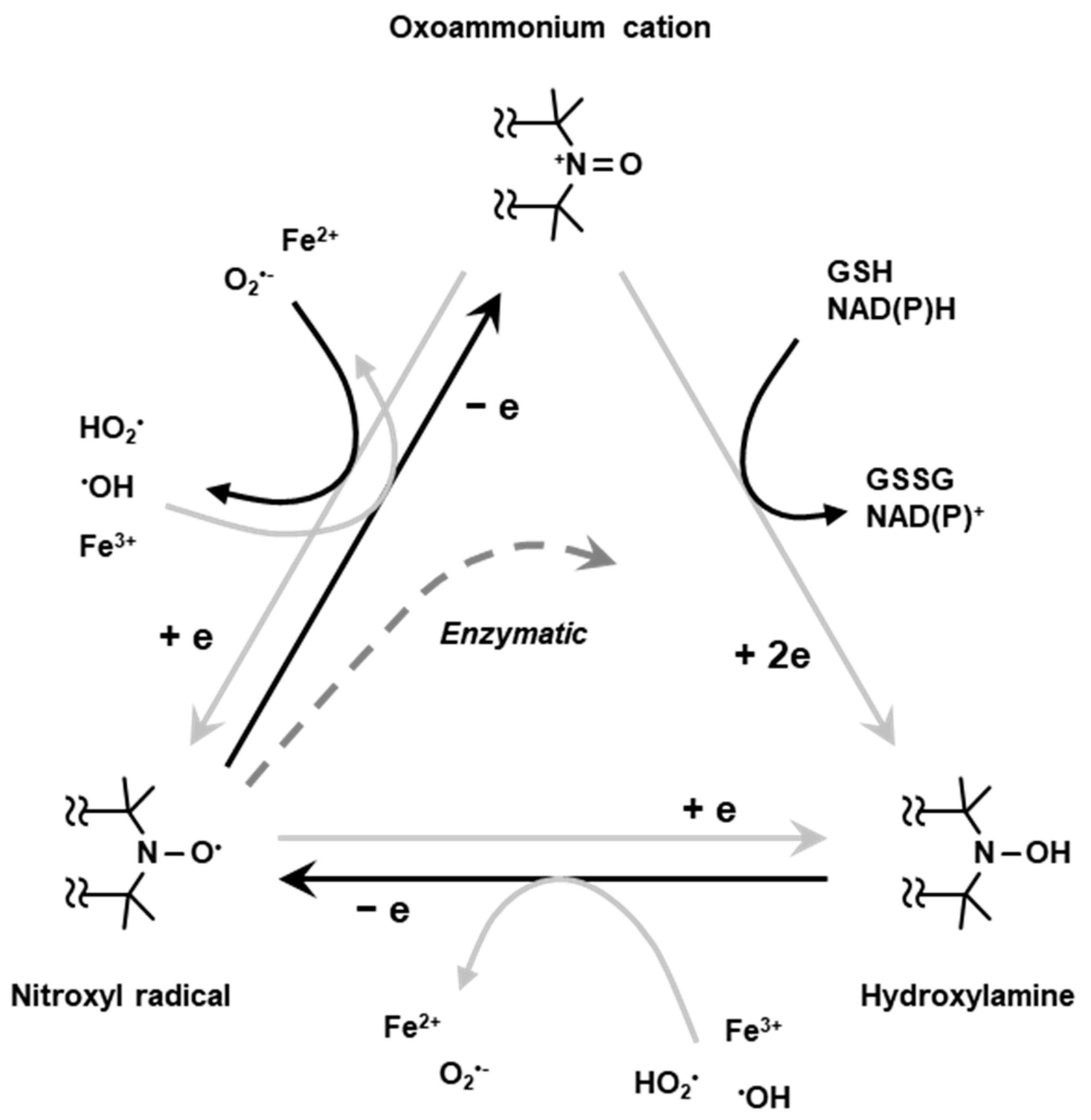 Metabolites 13 00069 g005 Metabolites 13 00069 g005