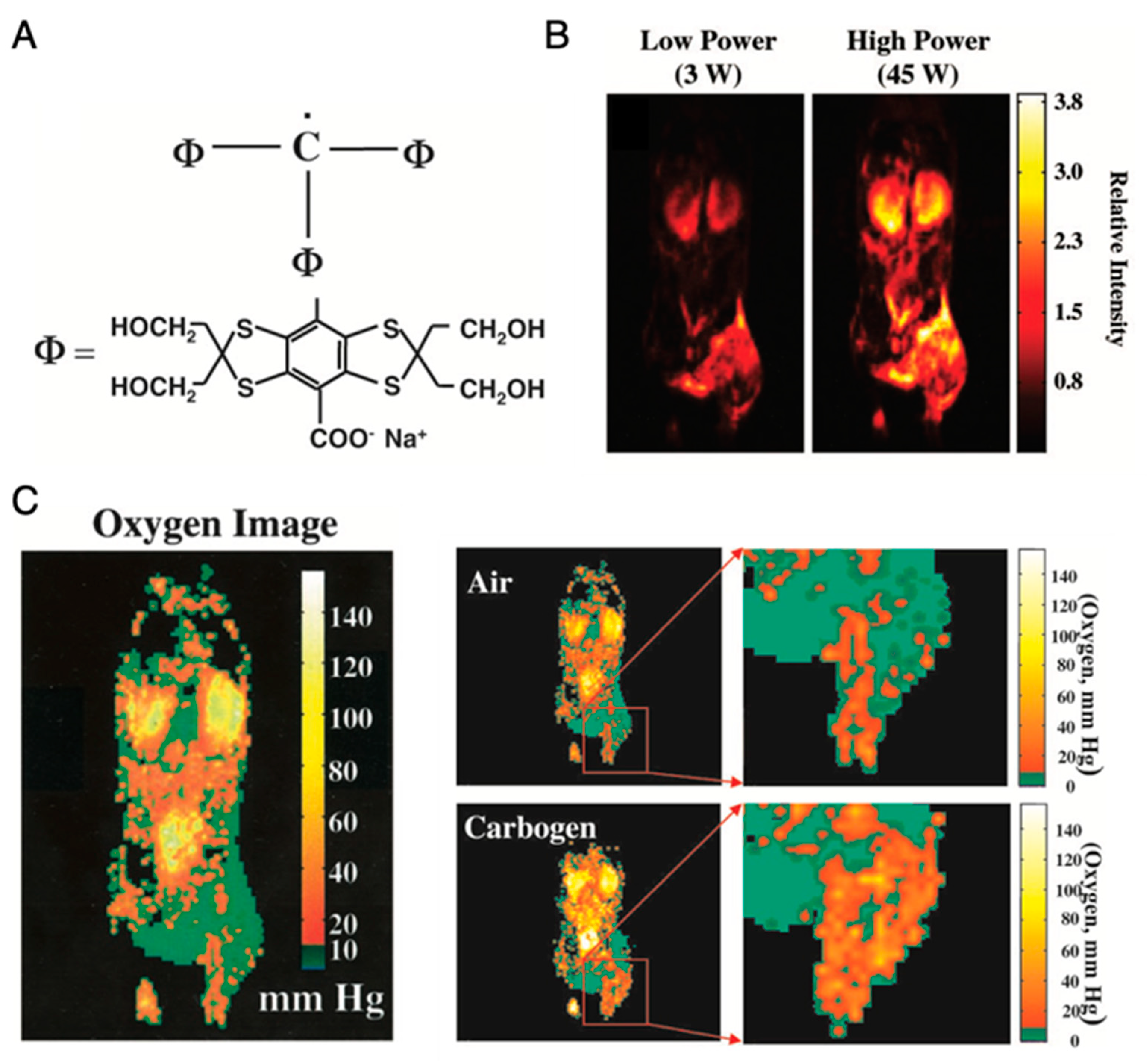 Metabolites 13 00069 g008 Metabolites 13 00069 g008