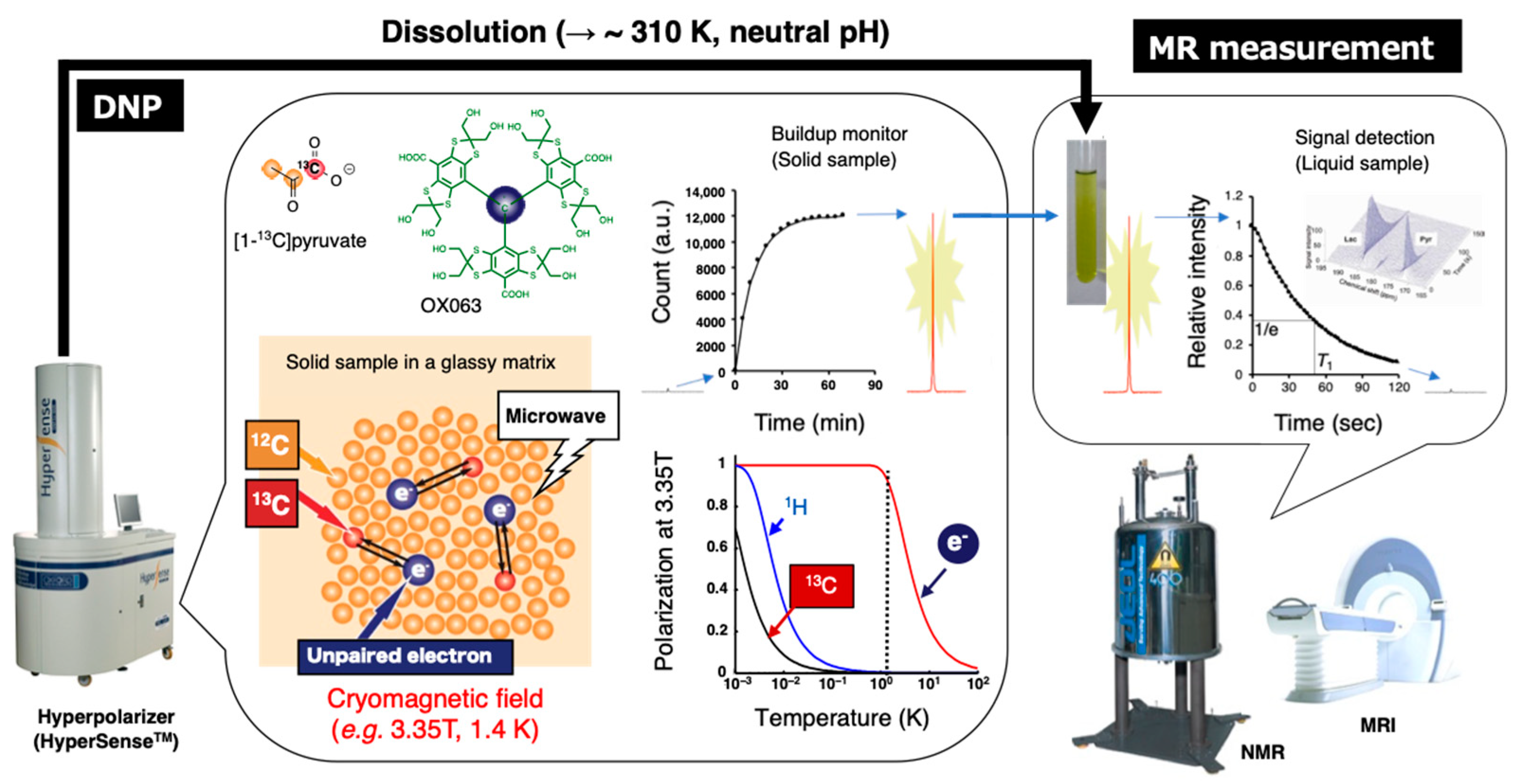 Metabolites 13 00069 g009 Metabolites 13 00069 g009