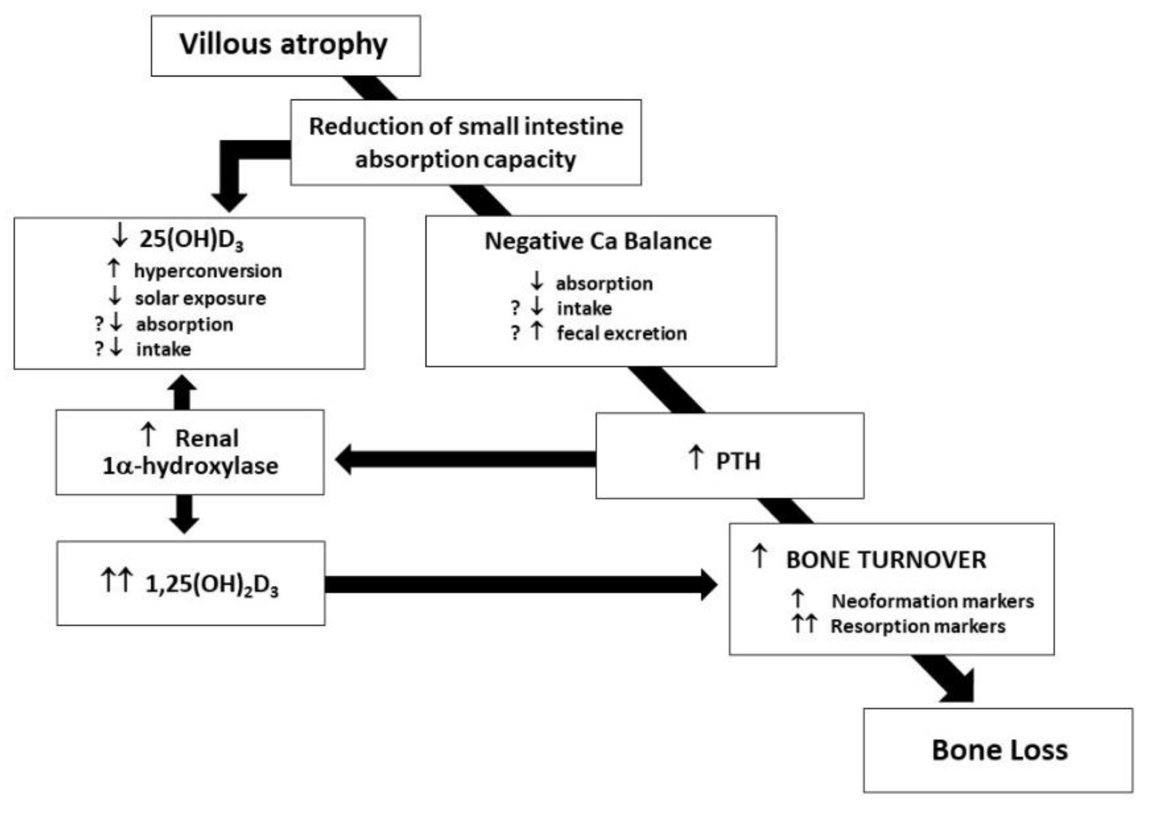 Metabolites 13 00074 g001