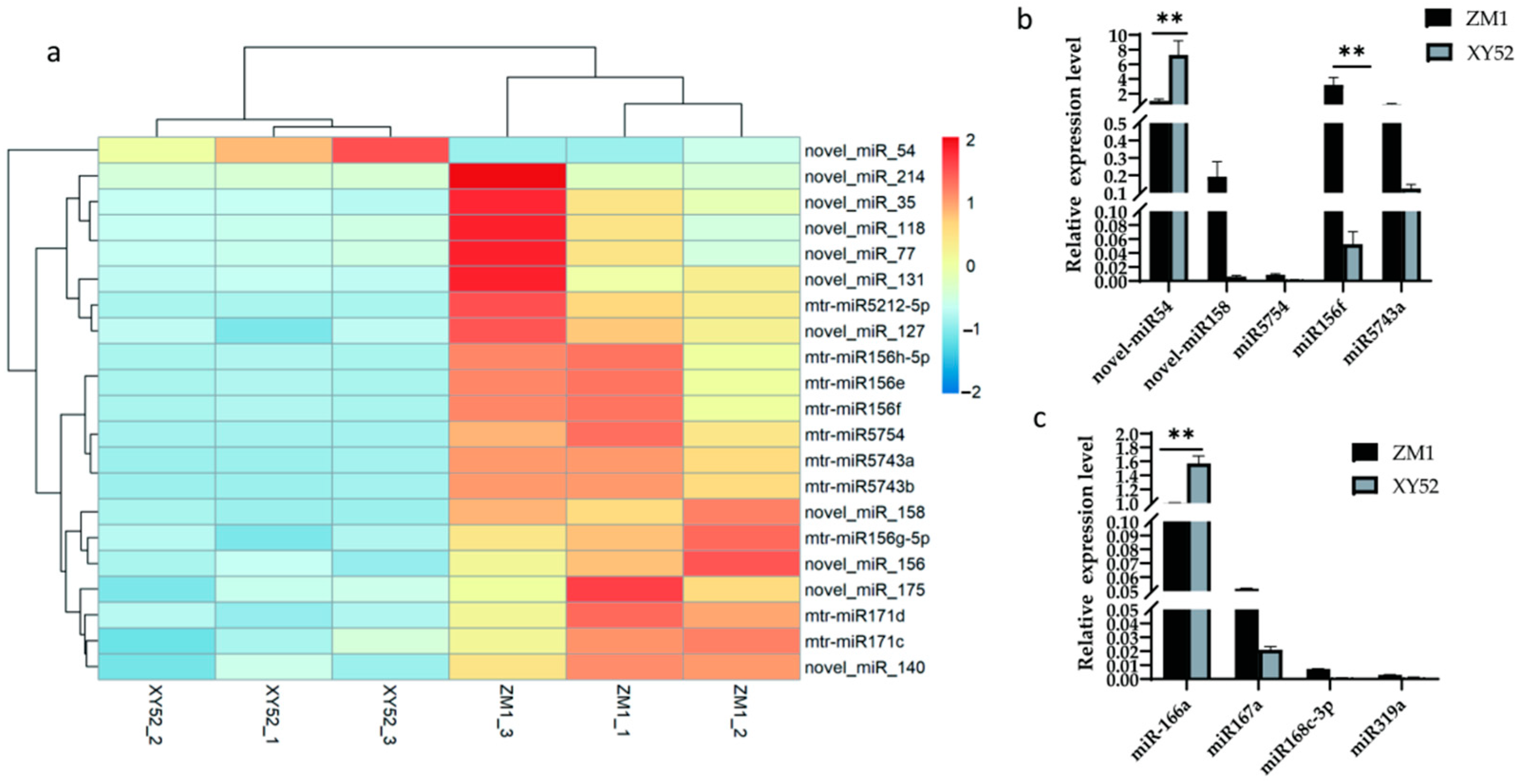 Metabolites 13 00076 g001 Metabolites 13 00076 g001