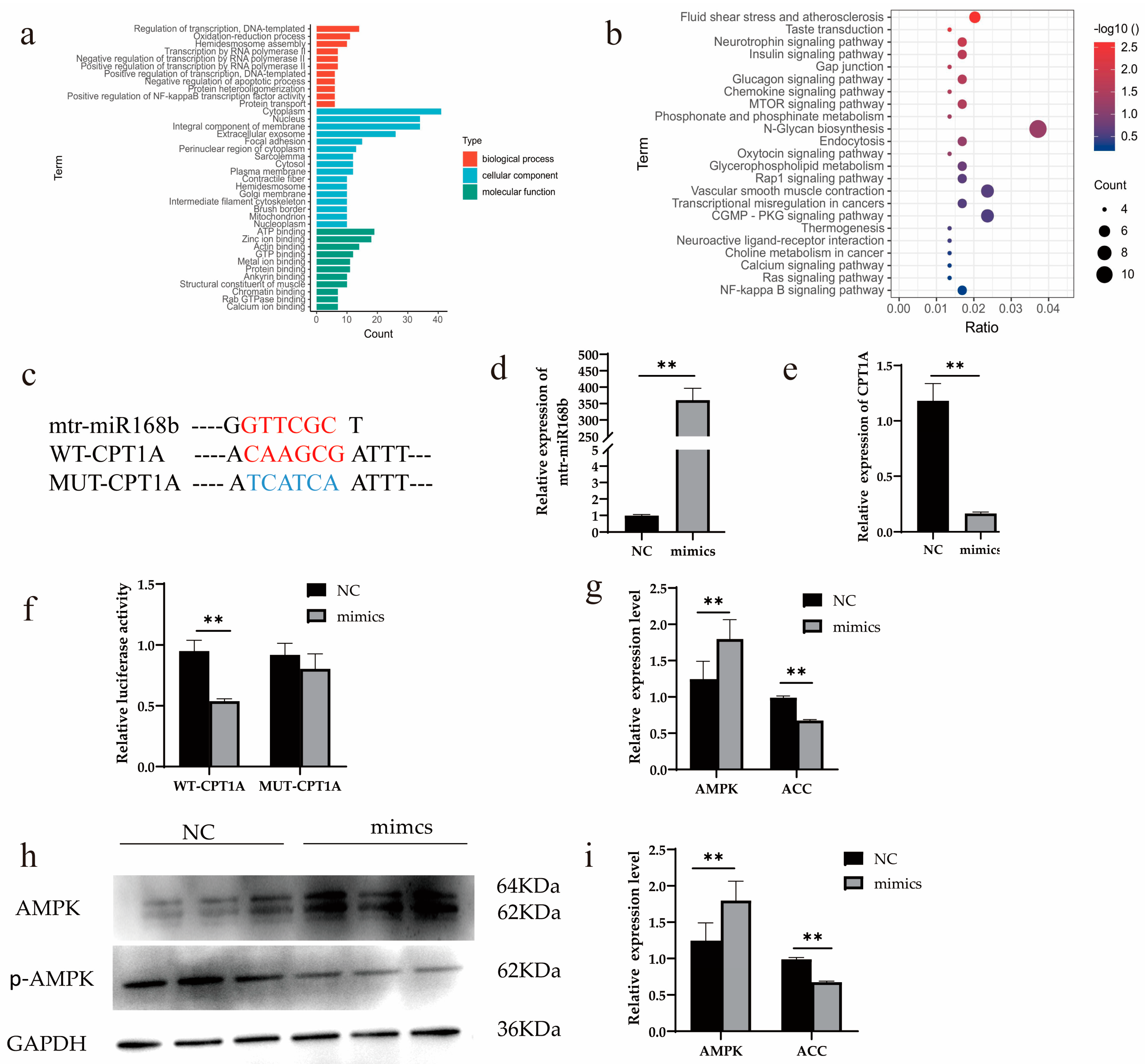 Metabolites 13 00076 g008 Metabolites 13 00076 g008