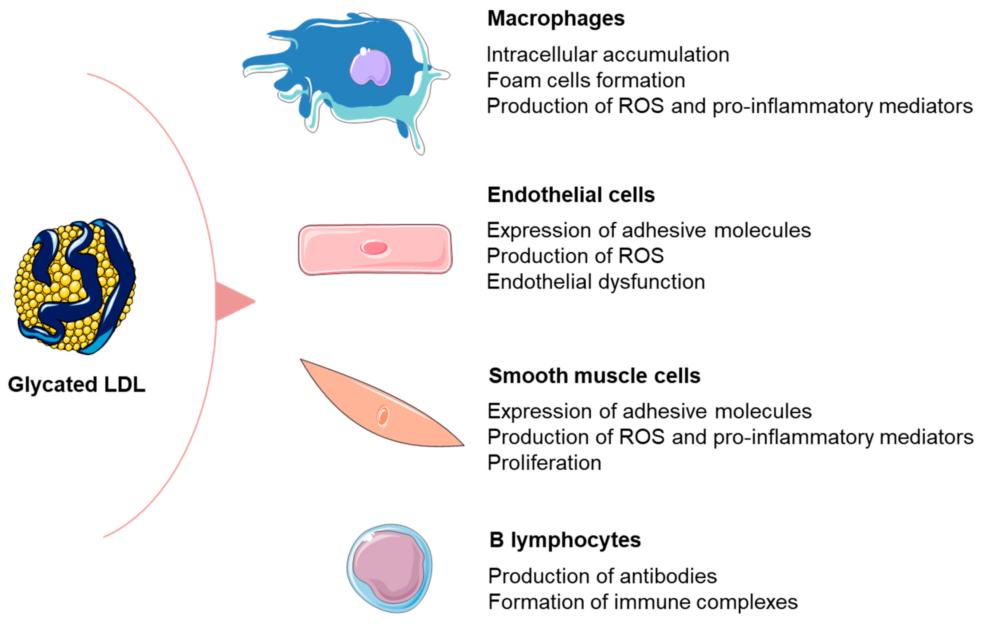 Metabolites 13 00077 g002 Metabolites 13 00077 g002