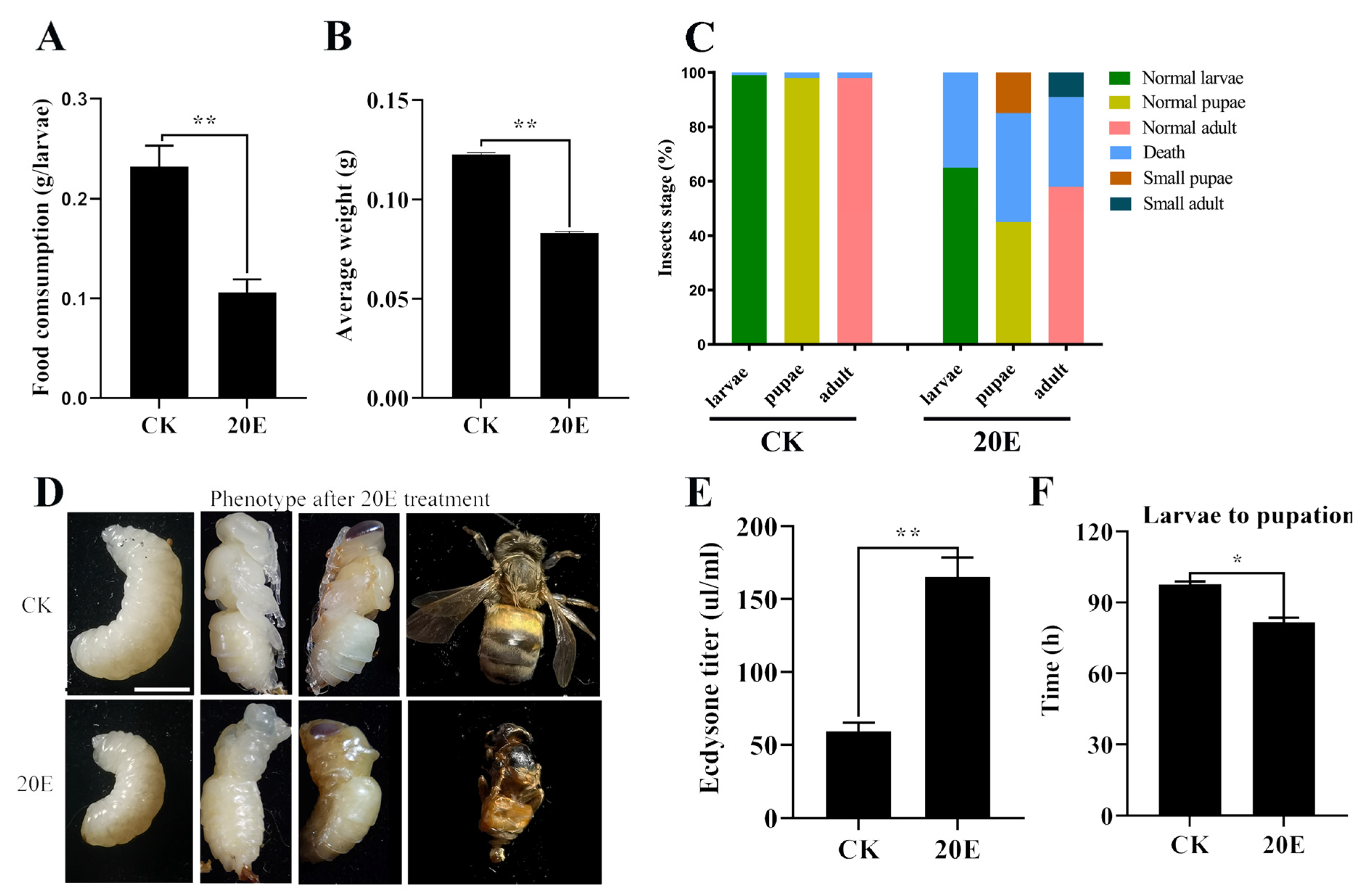 Metabolites | Free Full-Text | 20-Hydroxyecdysone and Receptor ...
