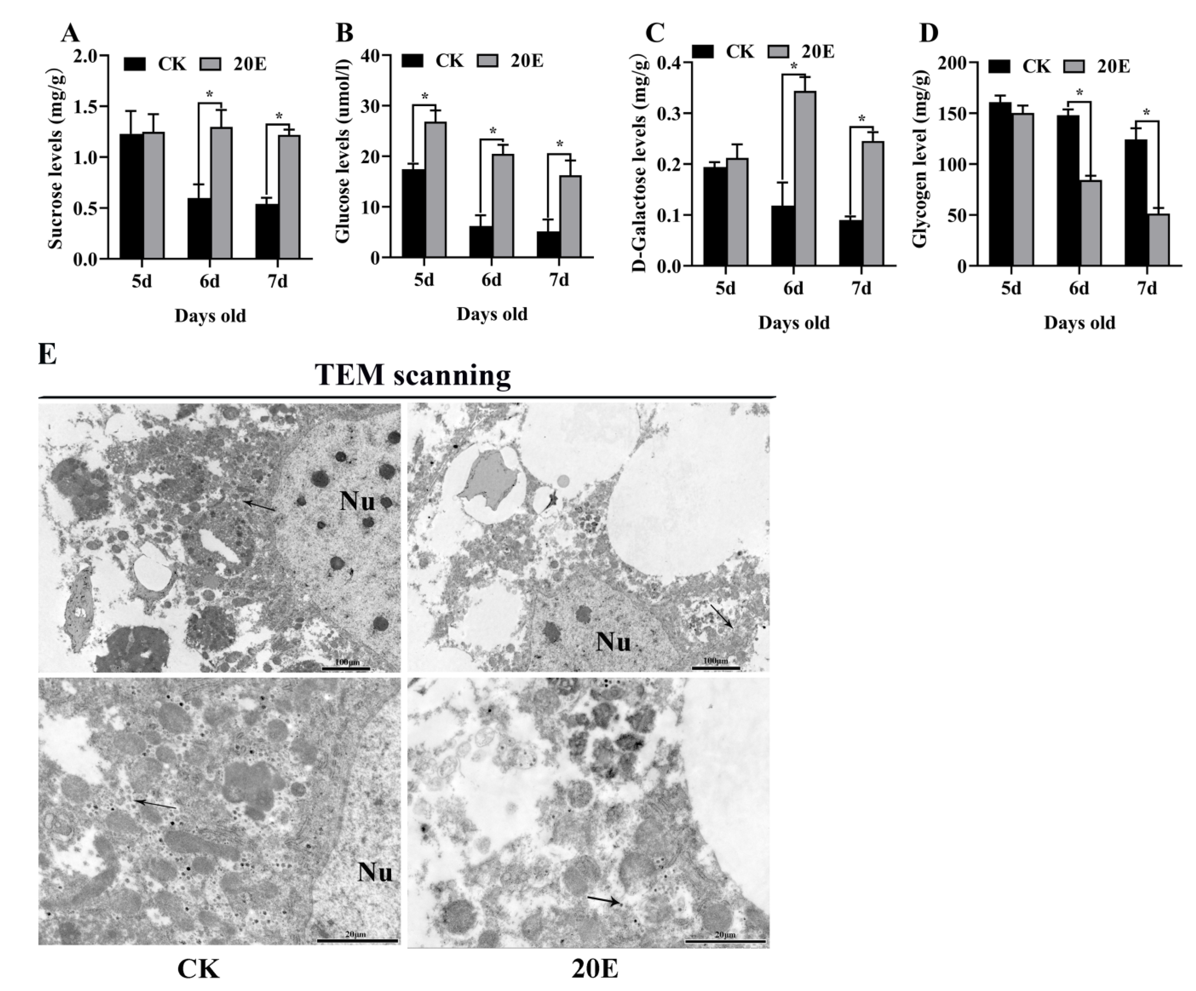 Metabolites 13 00080 g007 Metabolites 13 00080 g007