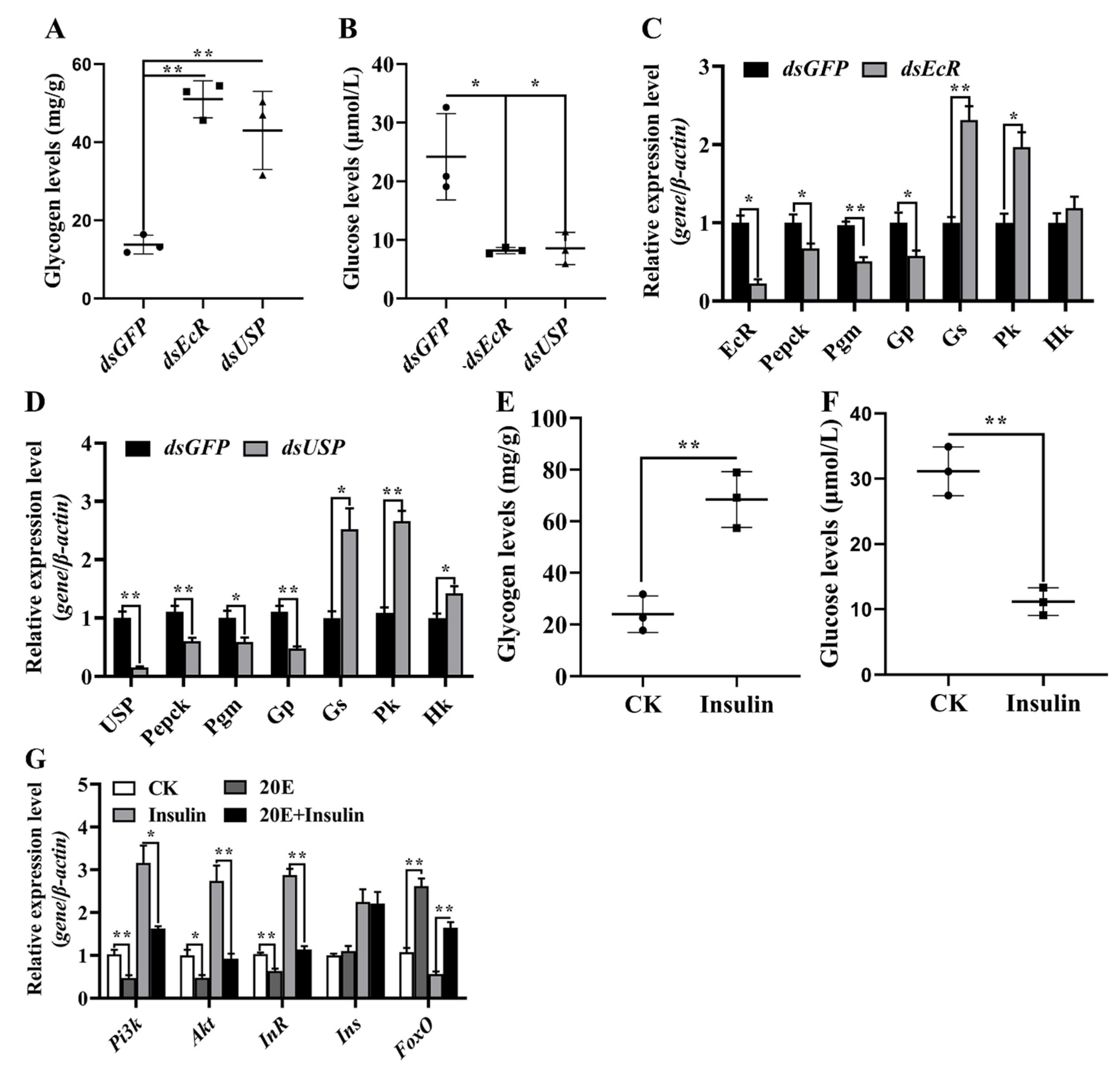 Metabolites 13 00080 g009 Metabolites 13 00080 g009