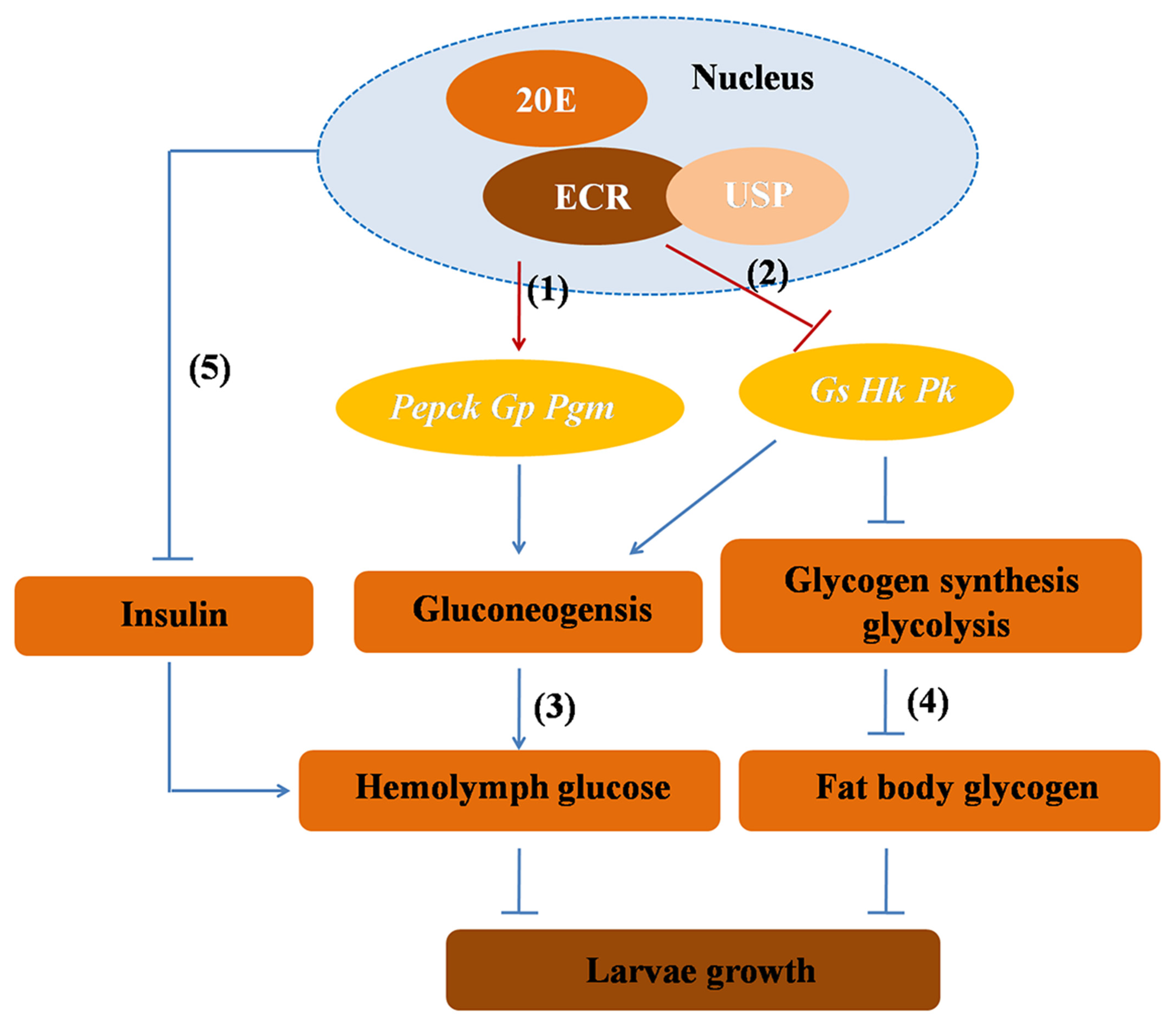 Metabolites 13 00080 g010 Metabolites 13 00080 g010