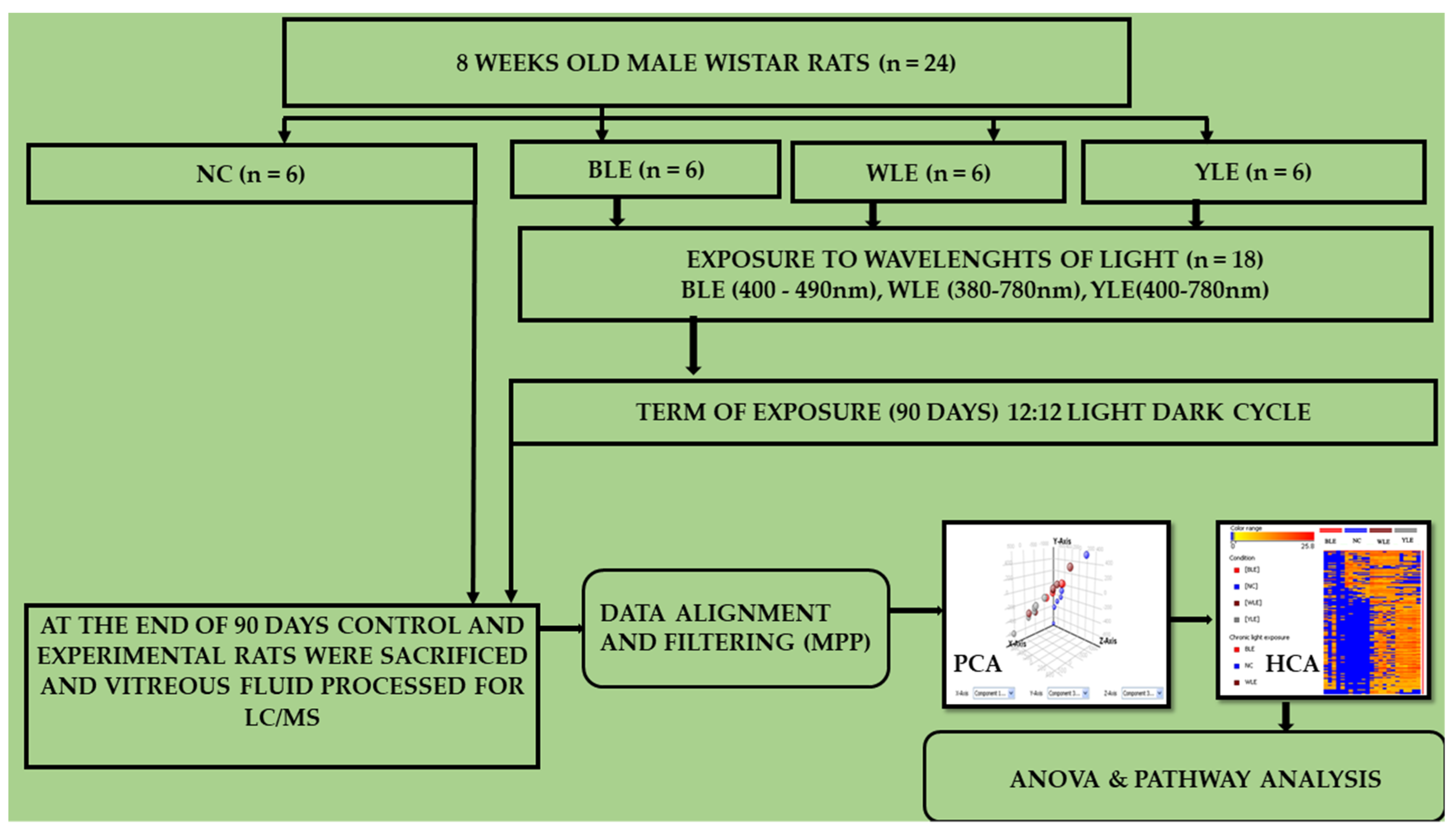 Metabolites 13 00081 g001