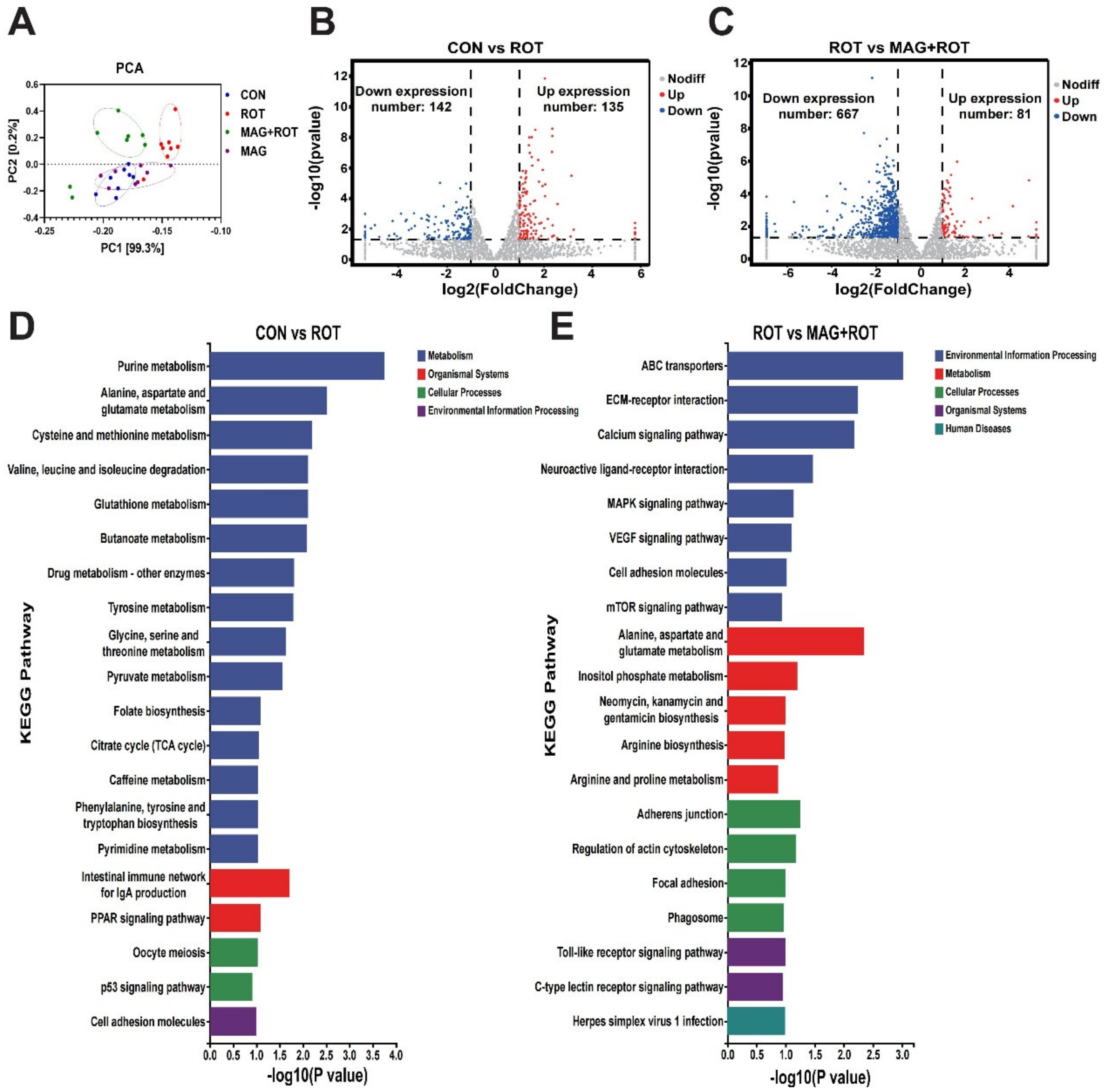 Metabolites 13 00084 g002 Metabolites 13 00084 g002