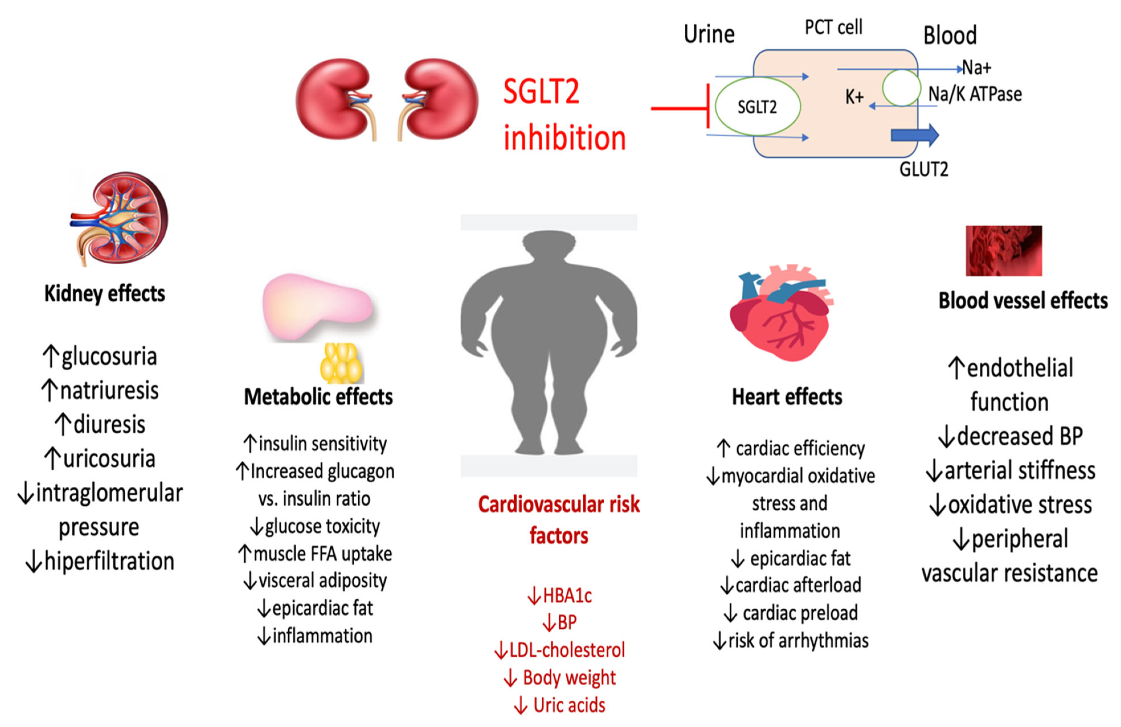 Metabolites 13 00087 g002