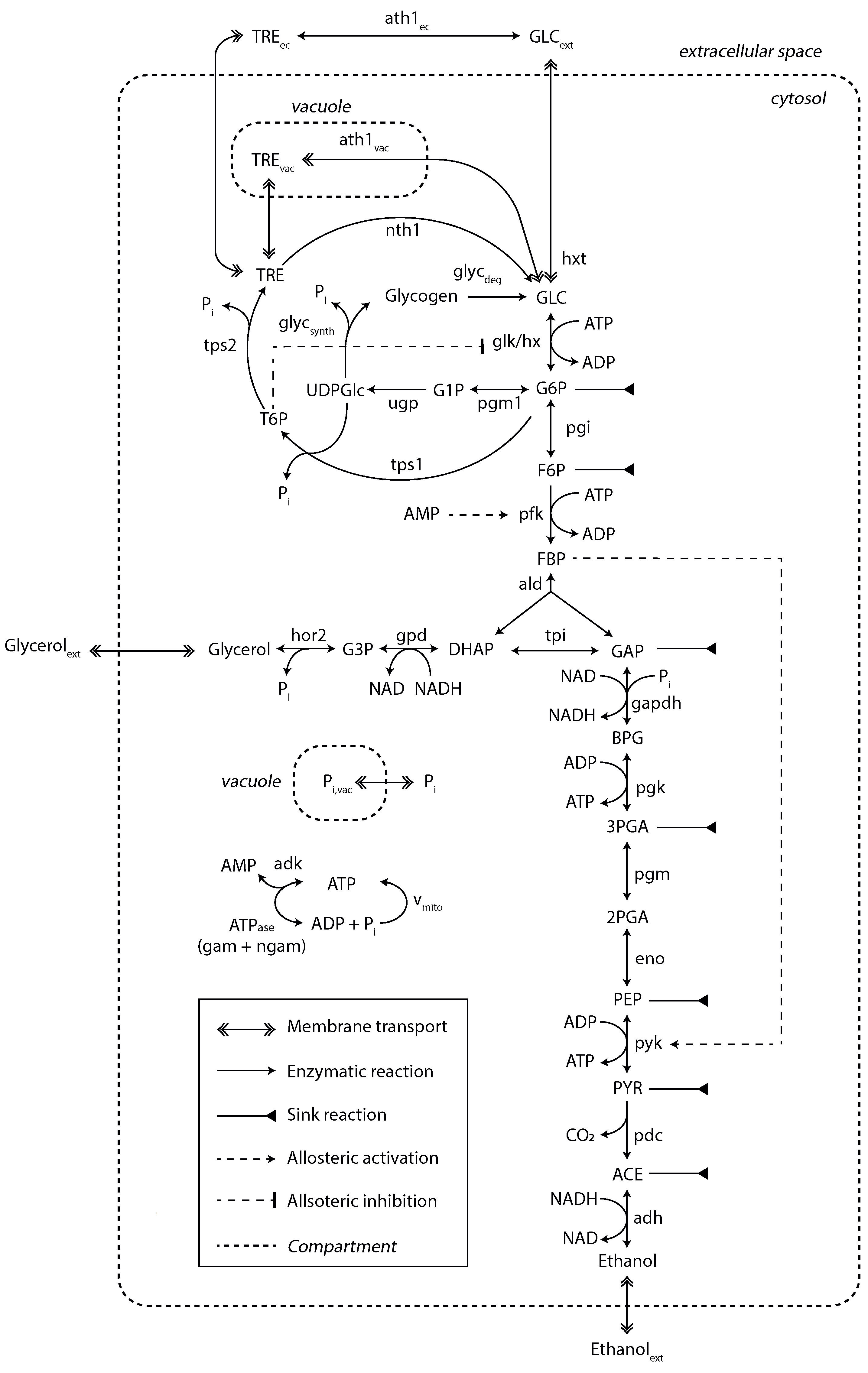 Metabolites 13 00088 g003 Metabolites 13 00088 g003