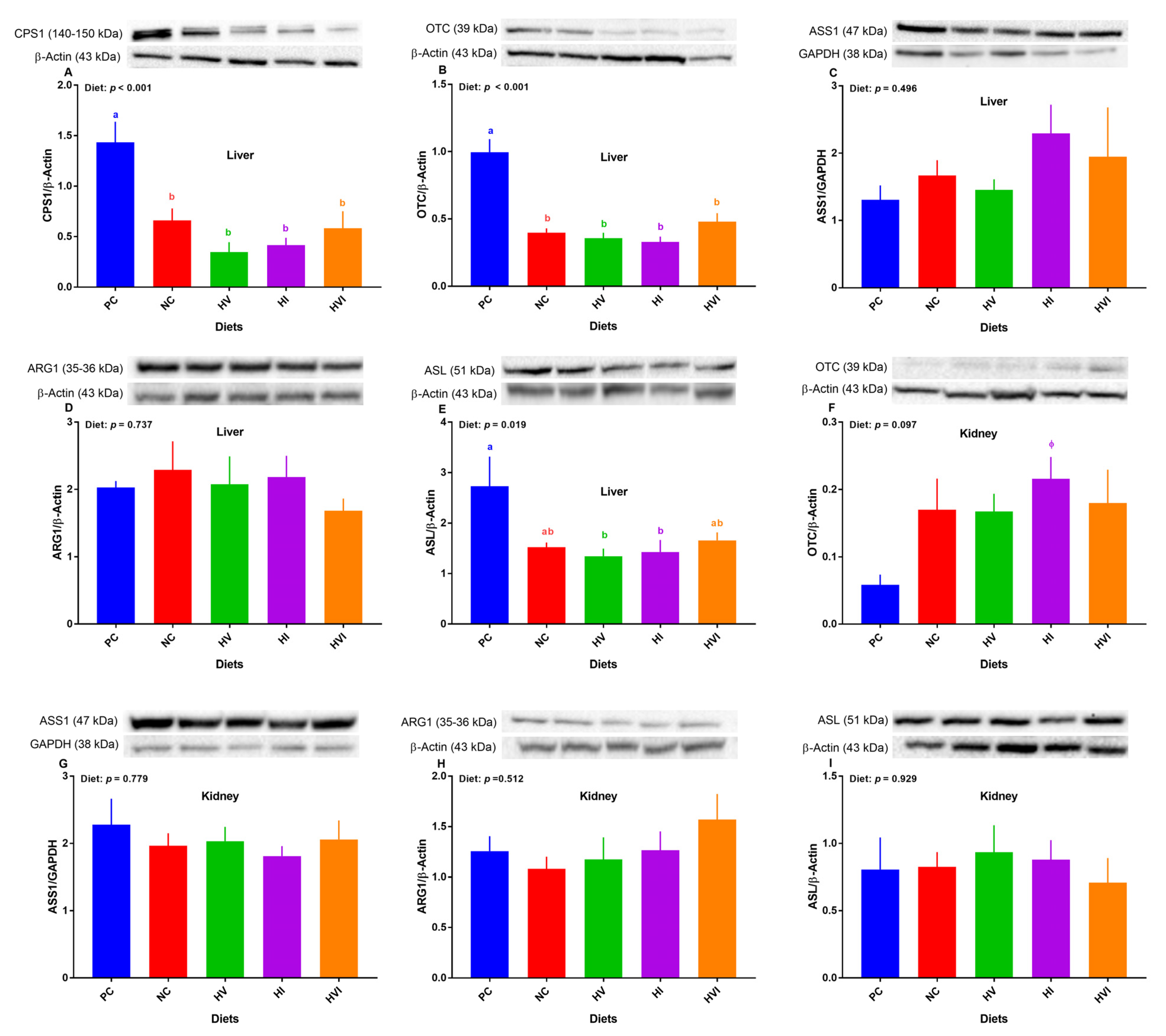 Metabolites 13 00089 g005 Metabolites 13 00089 g005