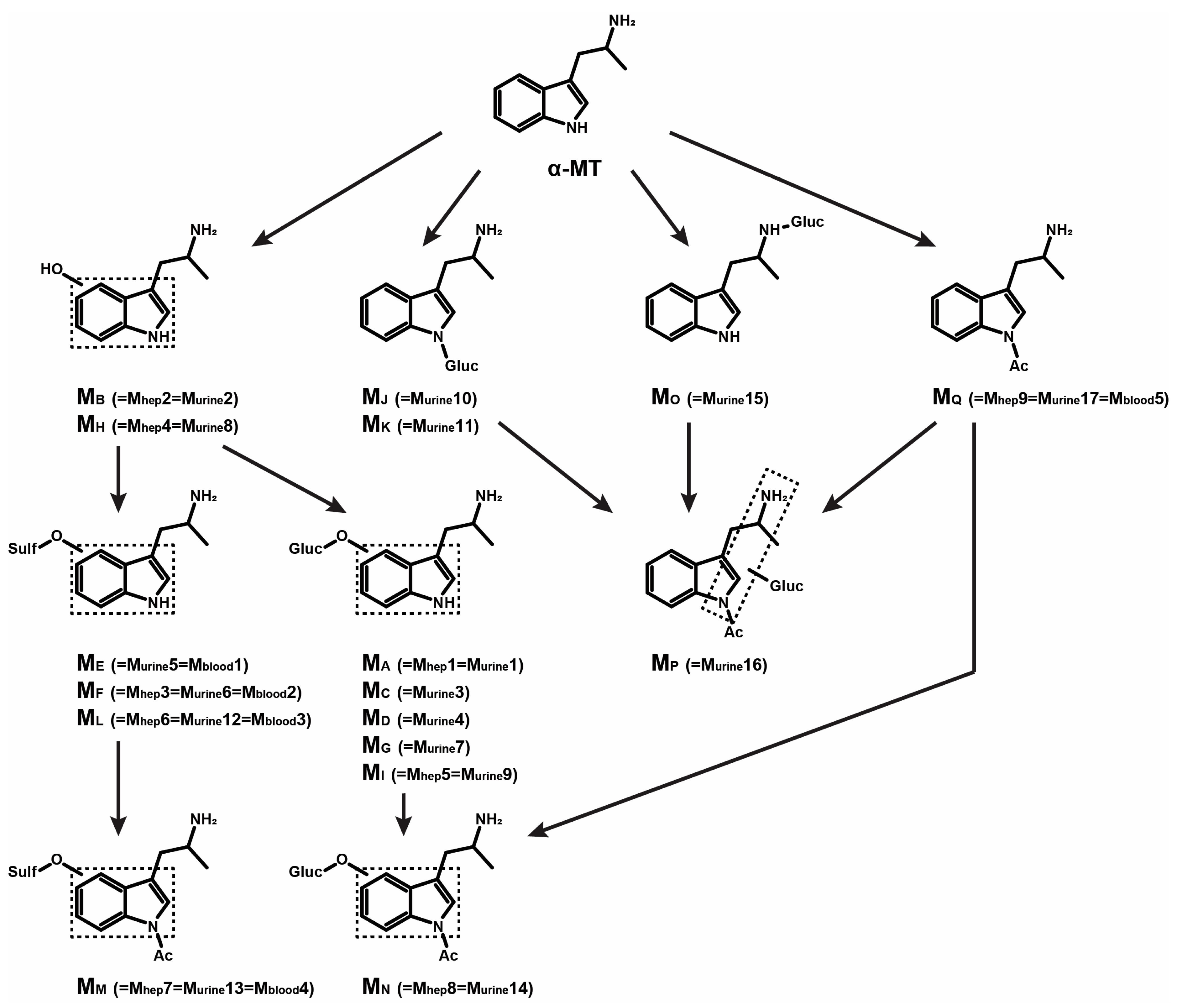 Metabolites 13 00092 g002 Metabolites 13 00092 g002