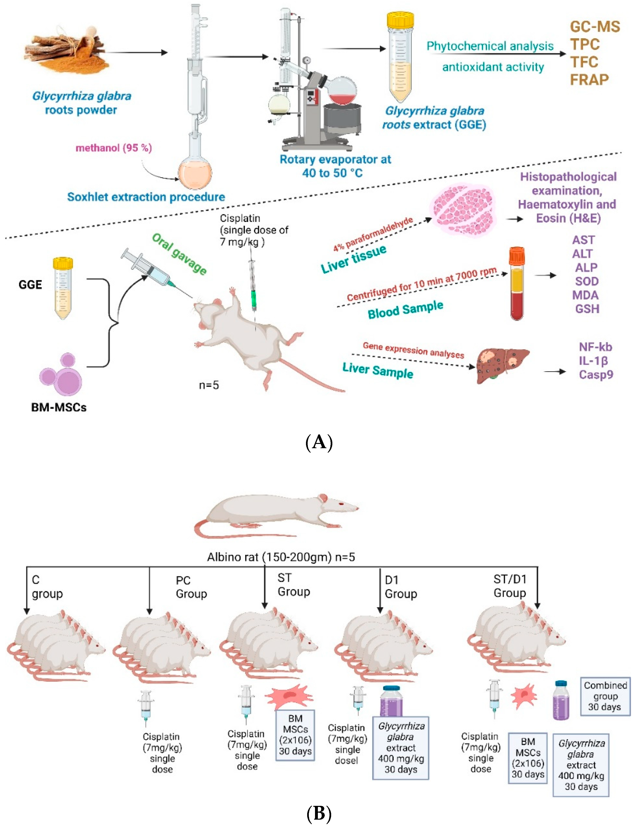 Metabolites 13 00094 g001 Metabolites 13 00094 g001