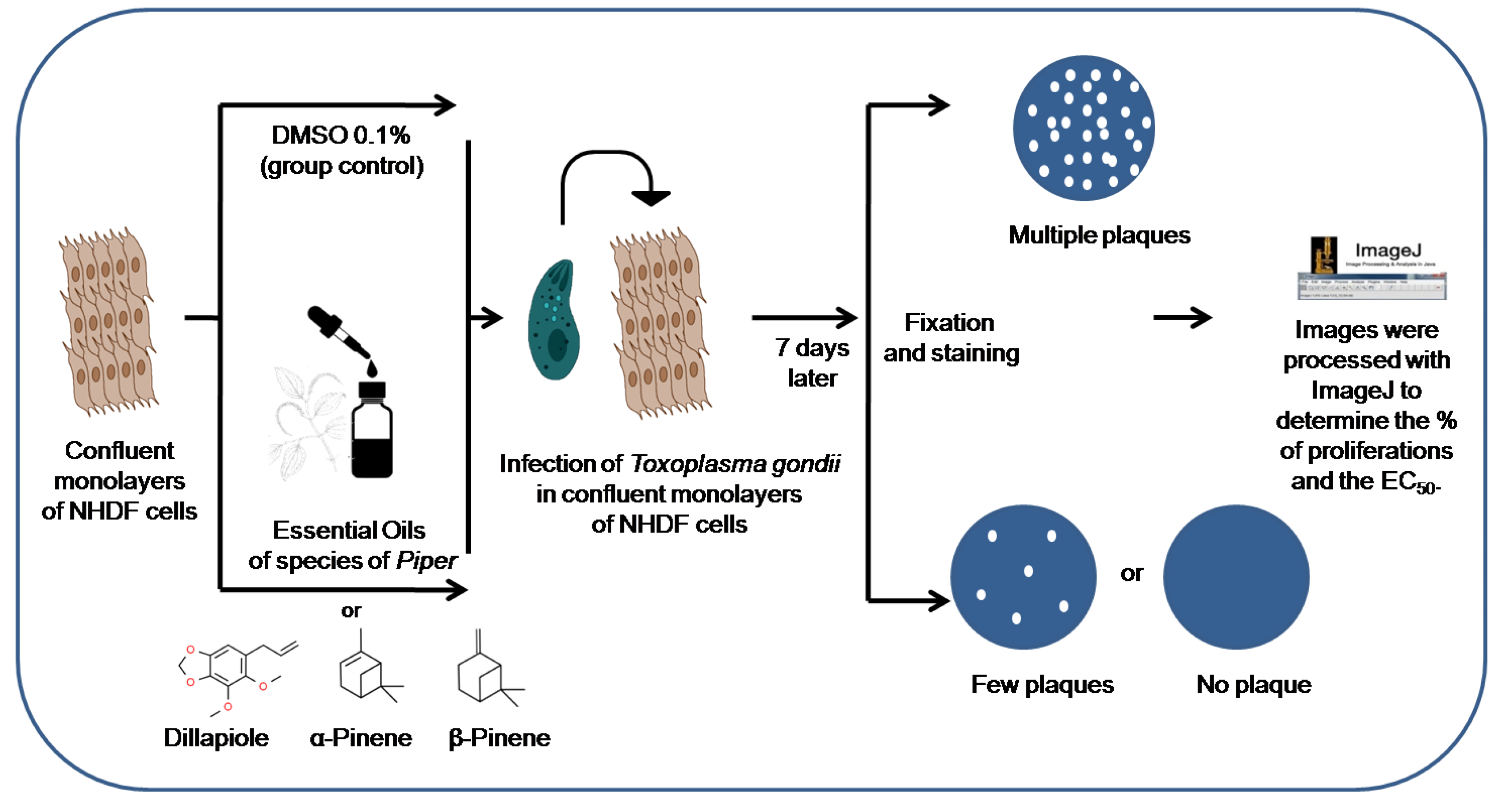 Metabolites 13 00095 g001 Metabolites 13 00095 g001