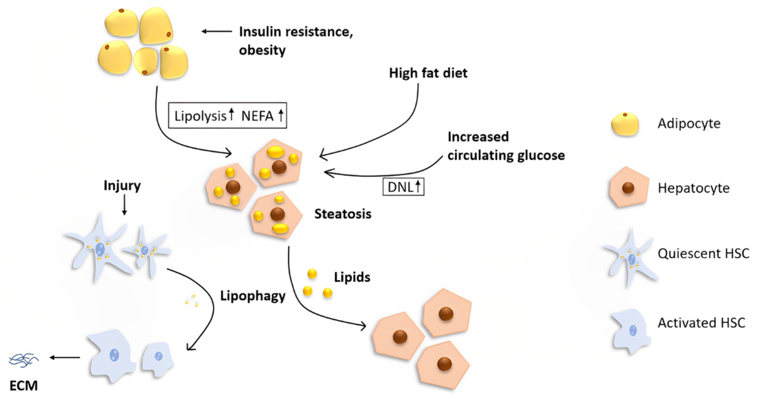Metabolites 13 00101 g001 Metabolites 13 00101 g001
