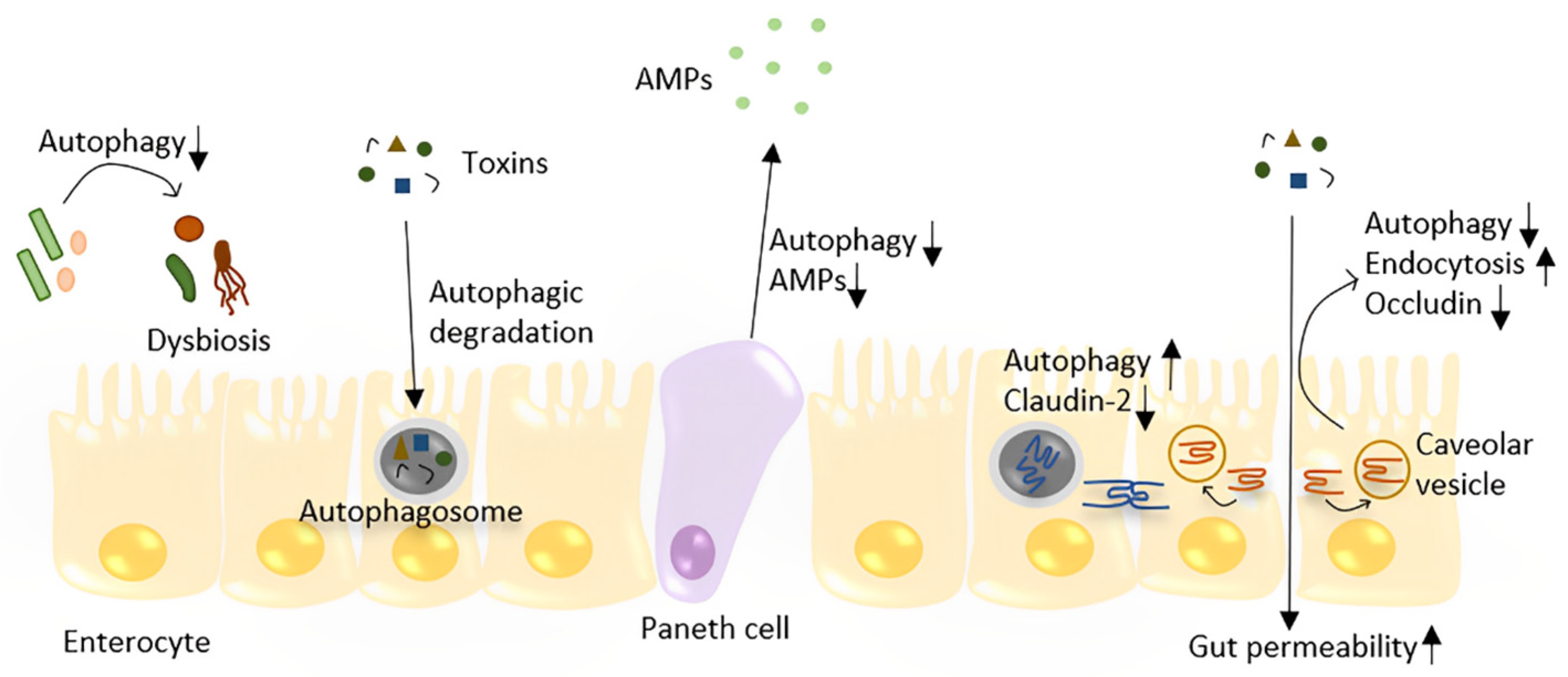 Metabolites 13 00101 g002 Metabolites 13 00101 g002