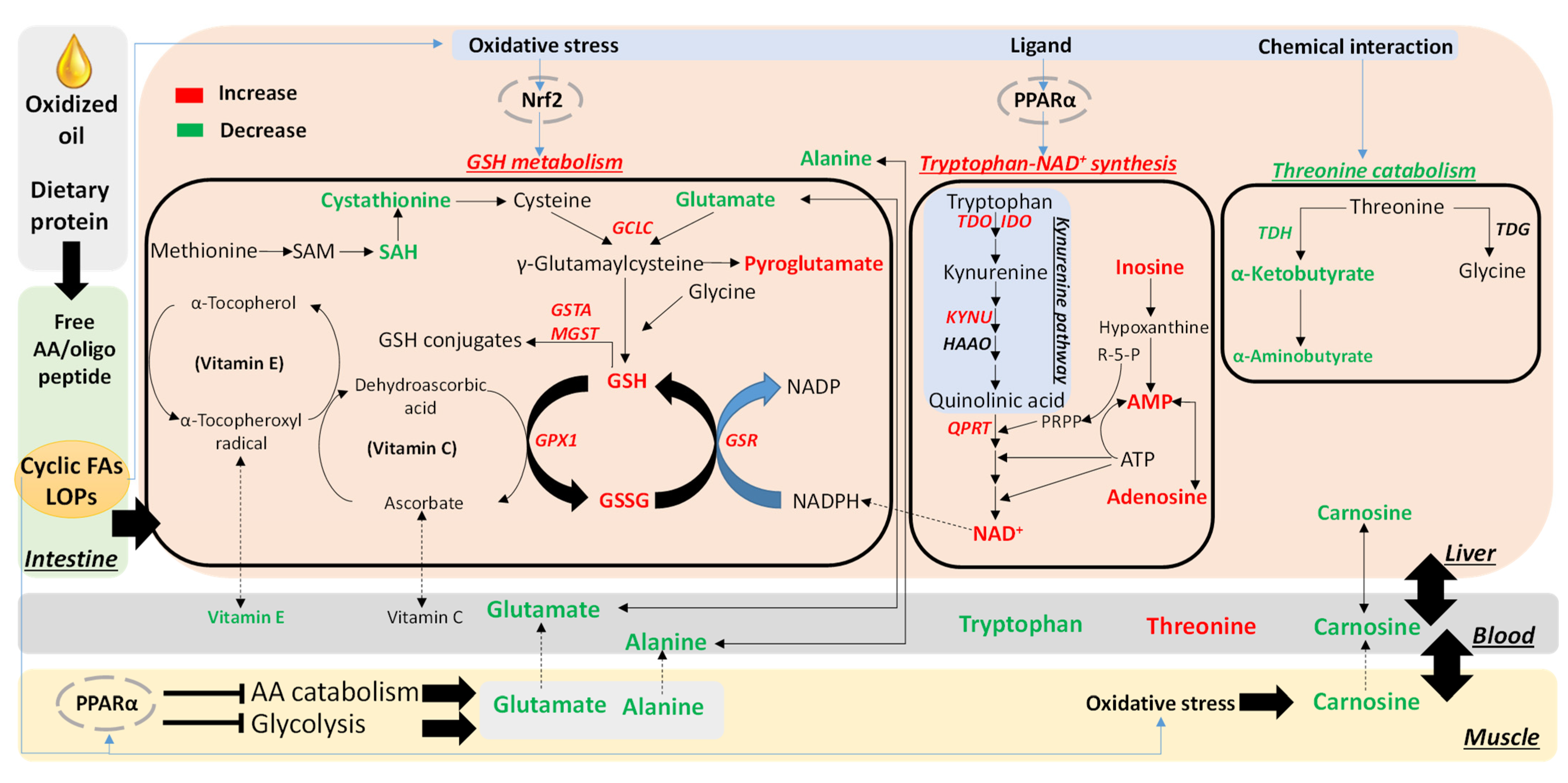 Metabolites 13 00103 g007 Metabolites 13 00103 g007