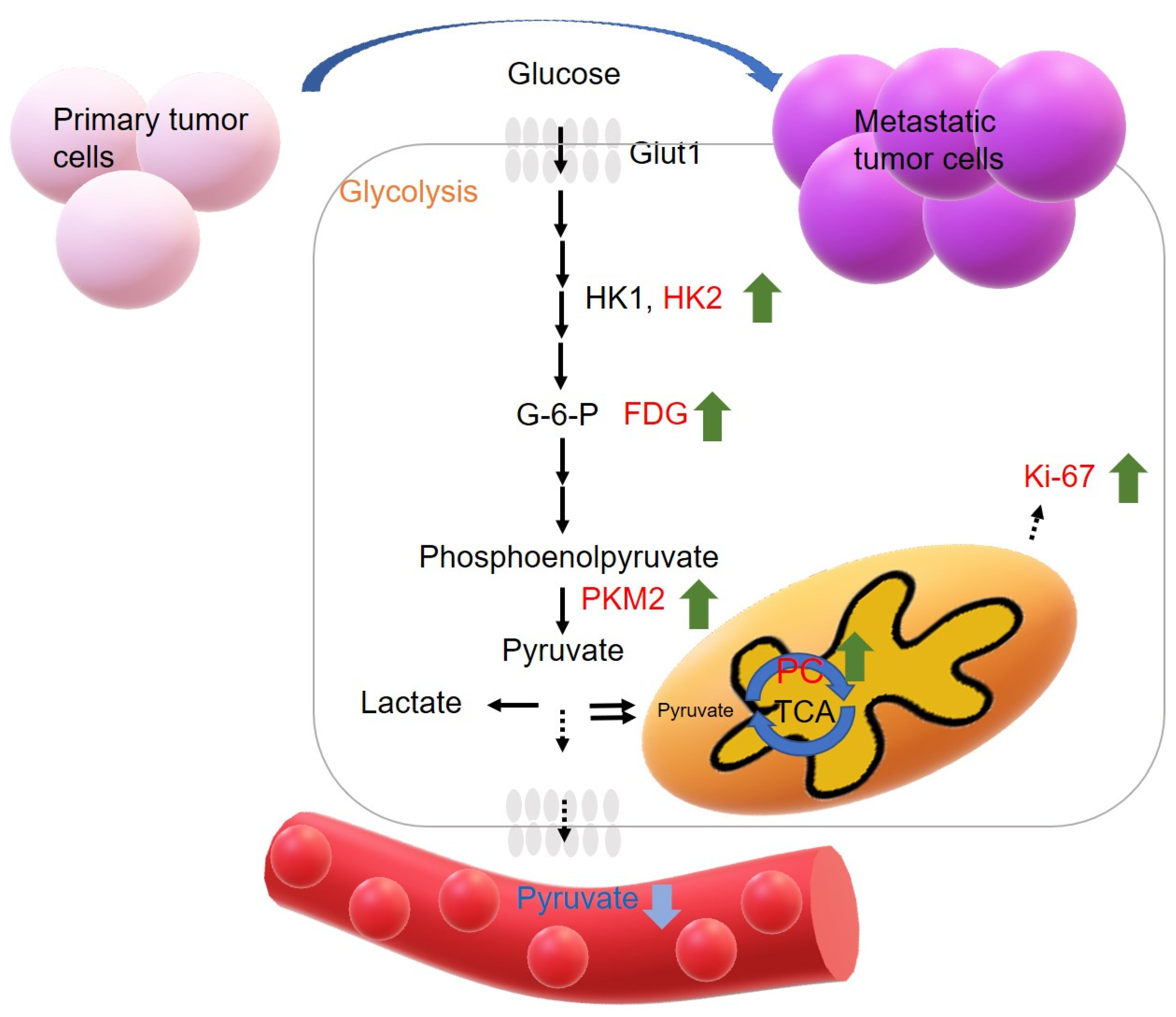 Metabolites 13 00110 g001 Metabolites 13 00110 g001