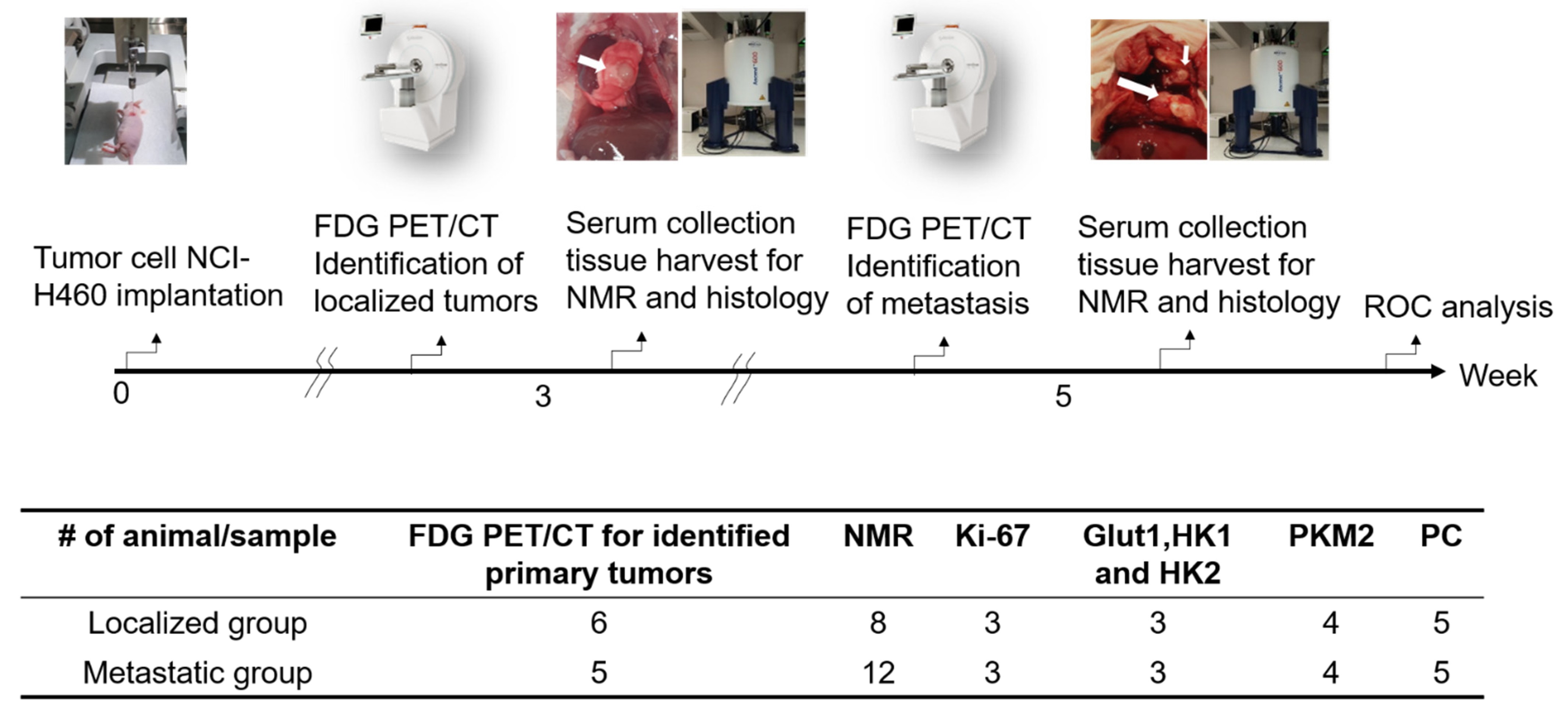 Metabolites 13 00110 g002 Metabolites 13 00110 g002