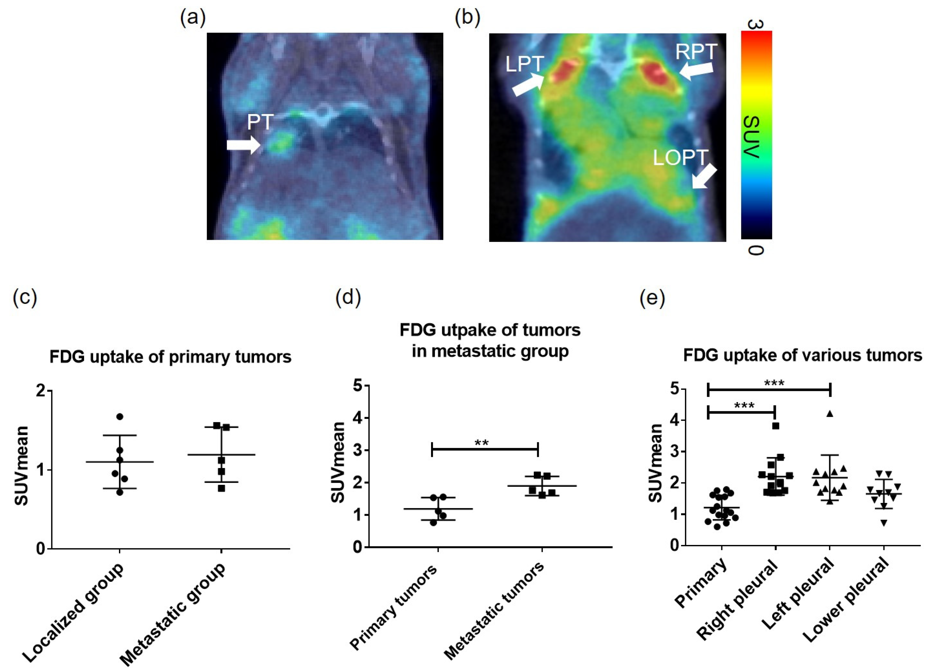 Metabolites 13 00110 g003 Metabolites 13 00110 g003