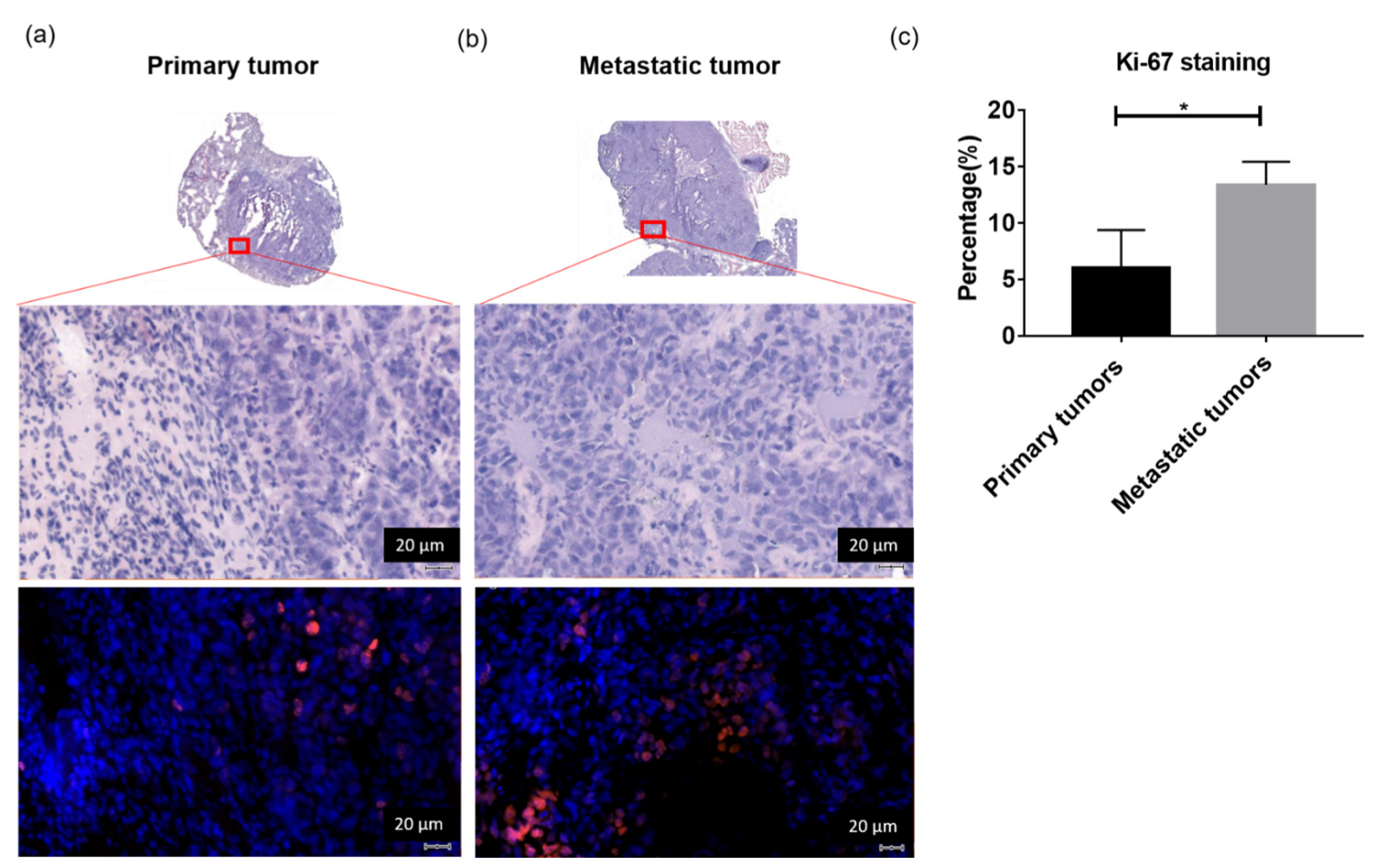Metabolites 13 00110 g005 Metabolites 13 00110 g005