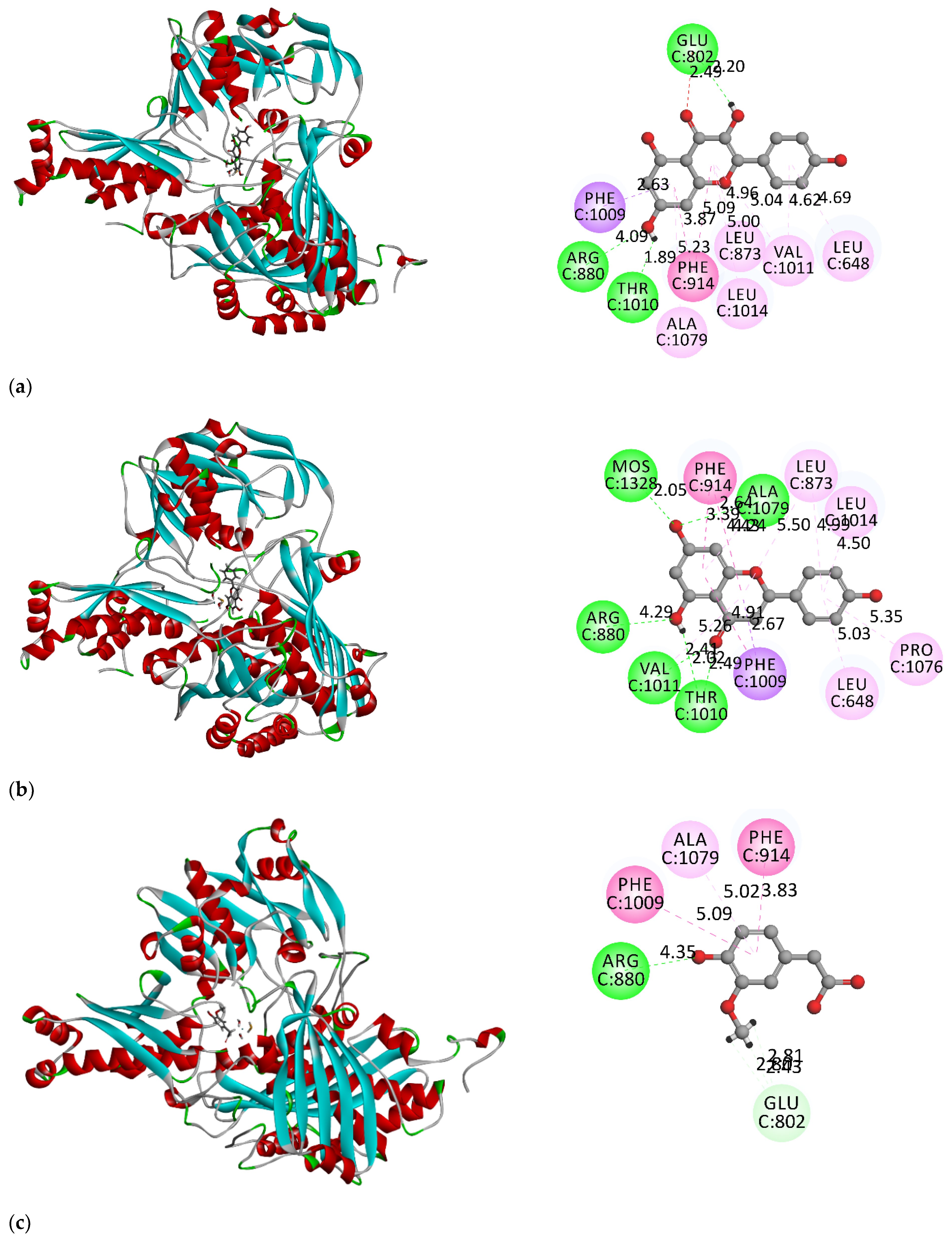 Metabolites 13 00113 g002a Metabolites 13 00113 g002a