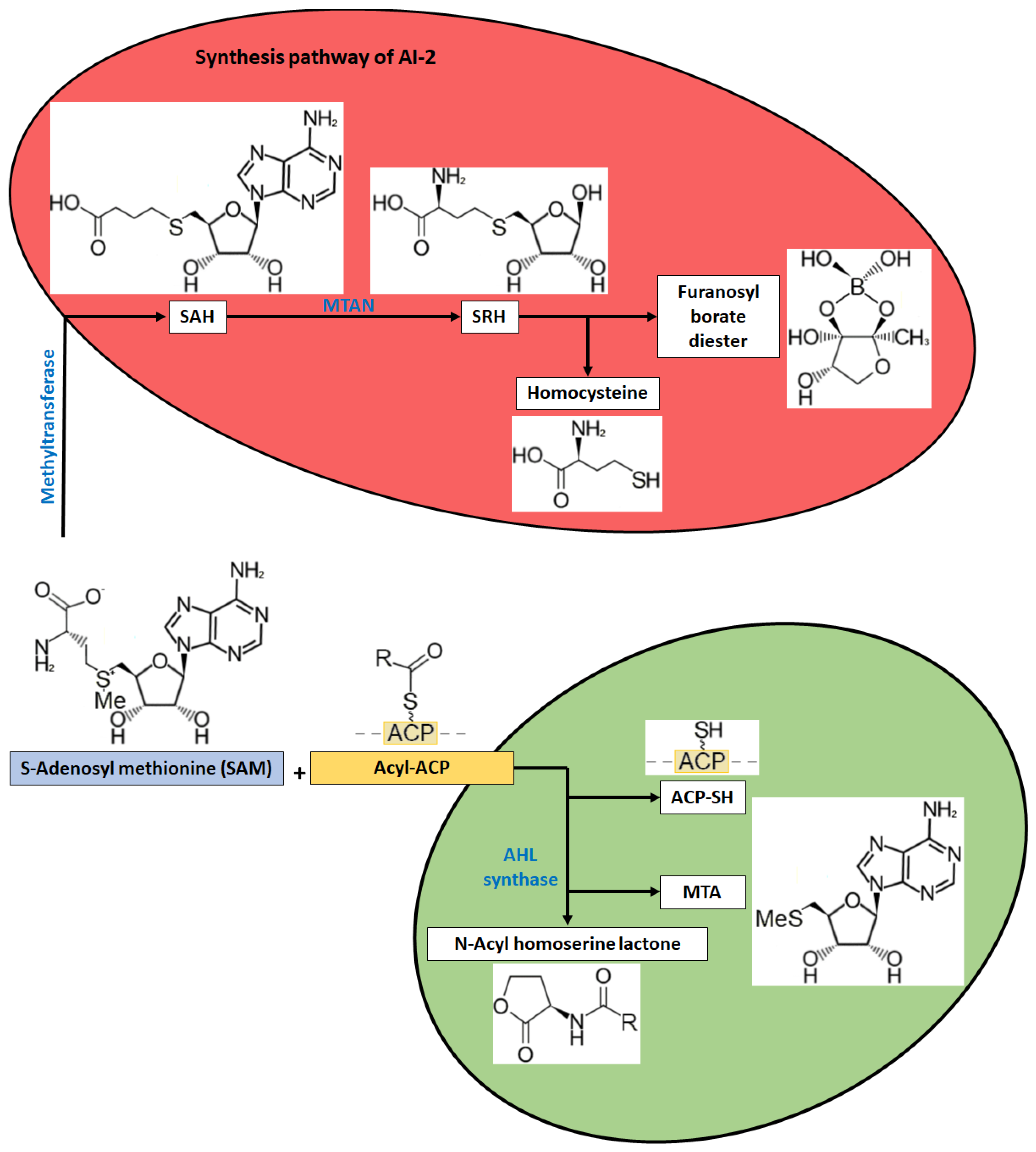 Metabolites 13 00114 g002 Metabolites 13 00114 g002