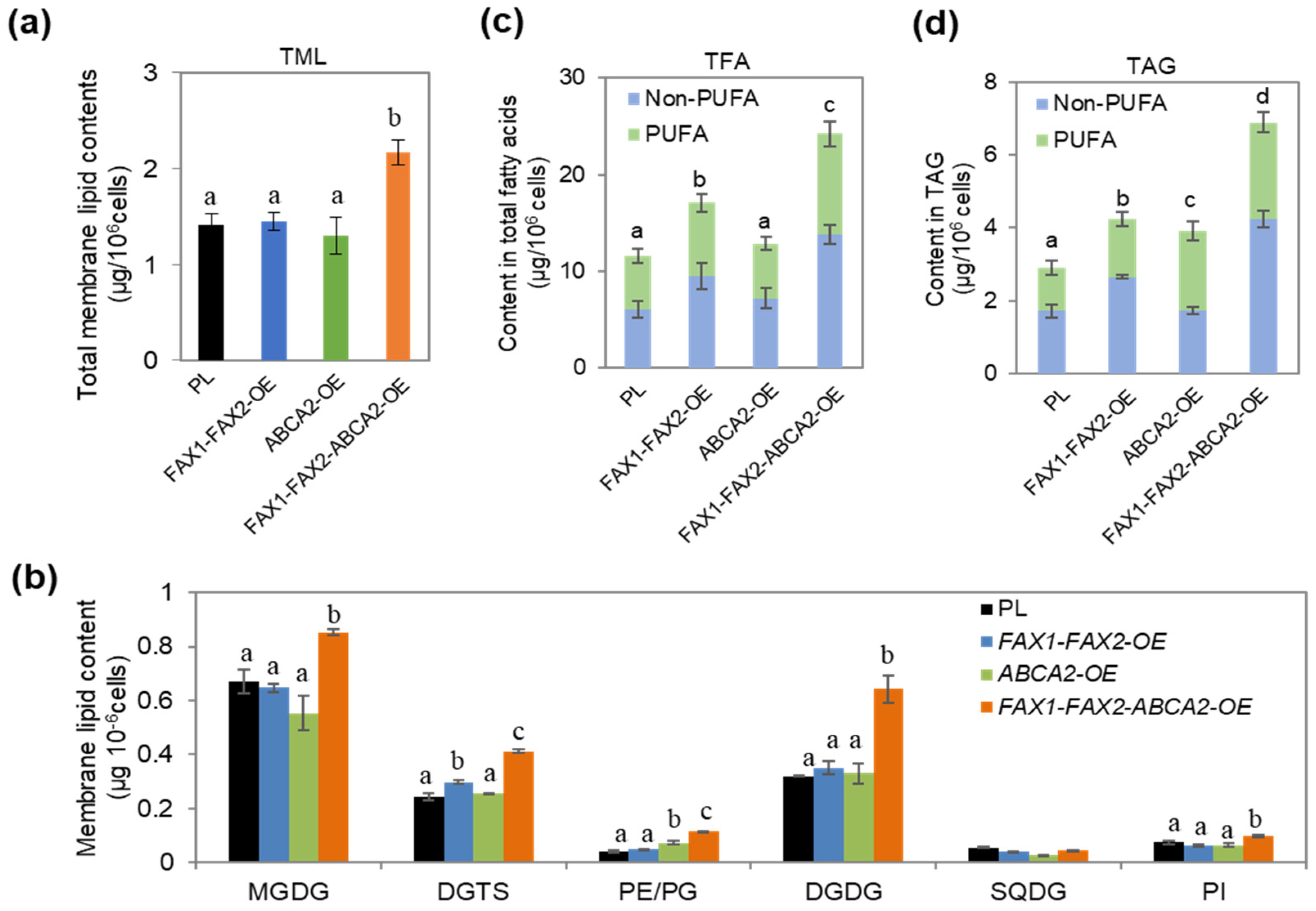 Metabolites 13 00115 g002 Metabolites 13 00115 g002