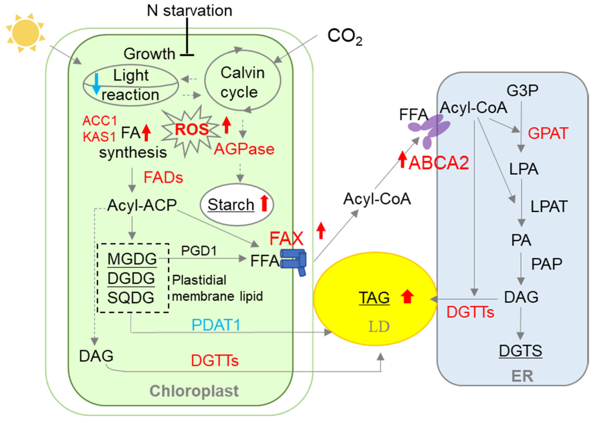 Metabolites 13 00115 g006 Metabolites 13 00115 g006