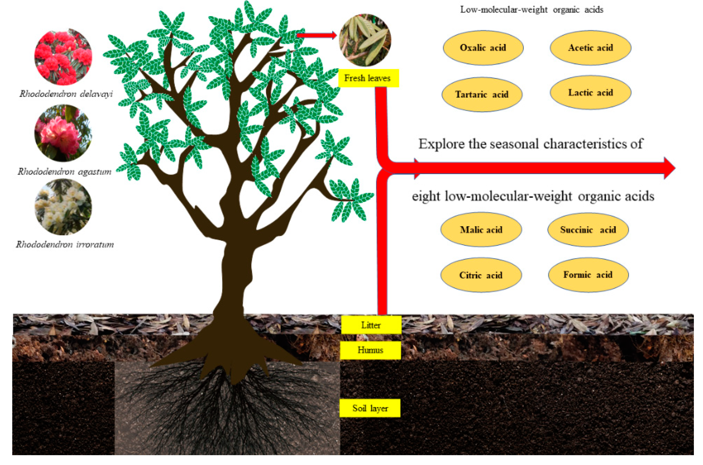 Metabolites 13 00119 g002