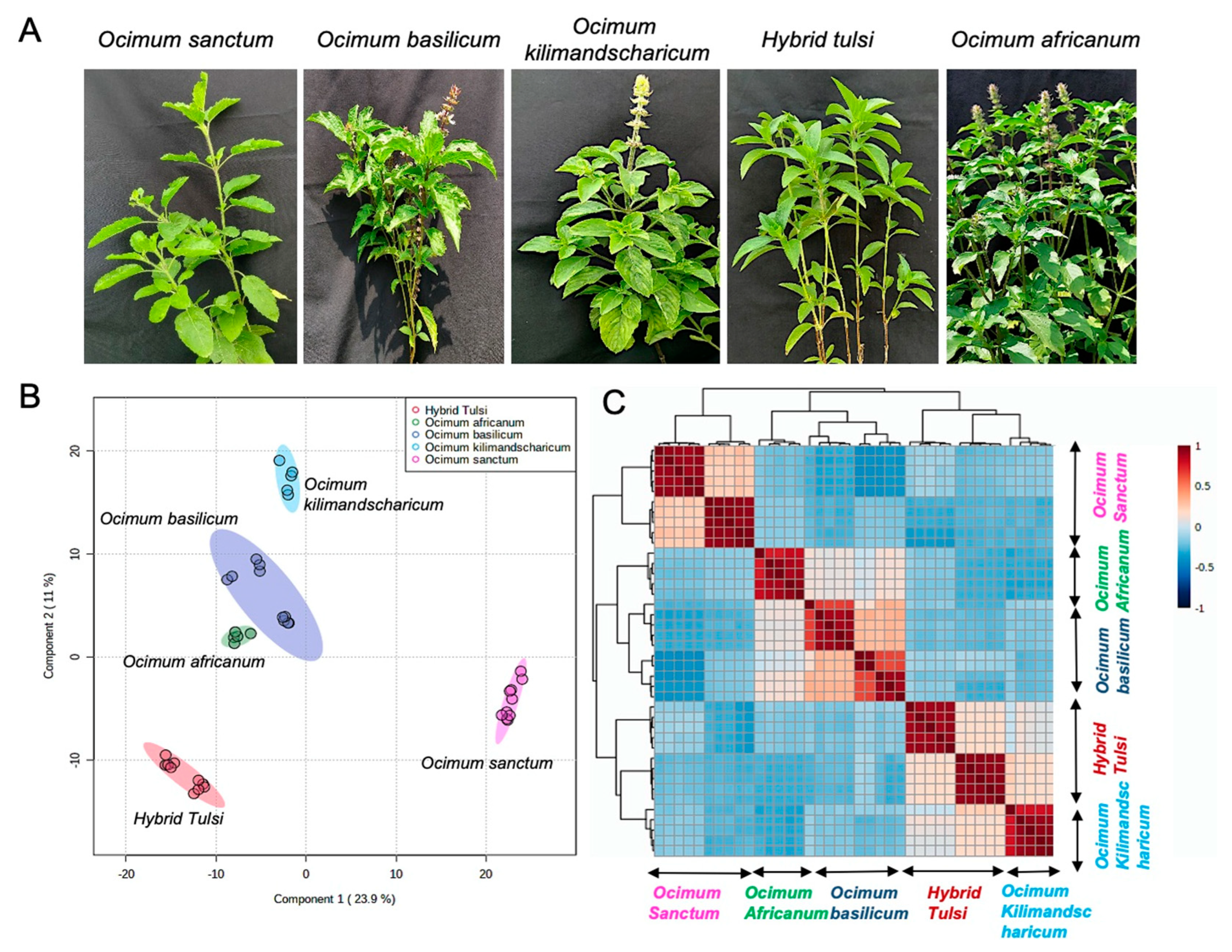 Metabolites 13 00122 g001 Metabolites 13 00122 g001