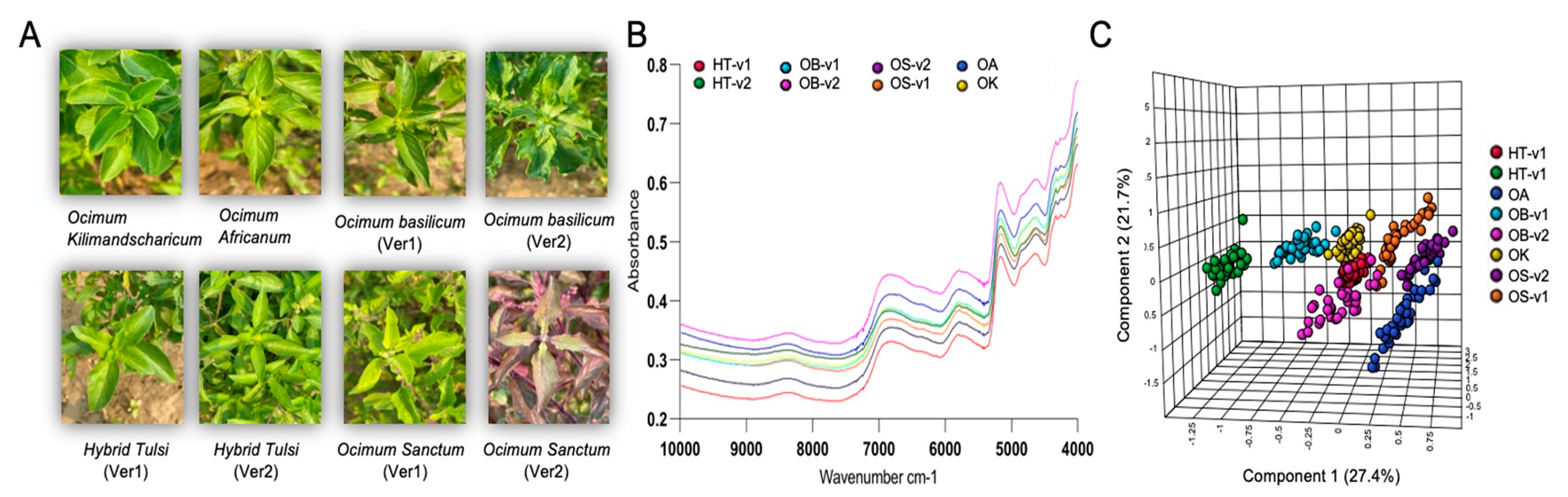 Metabolites 13 00122 g005 Metabolites 13 00122 g005