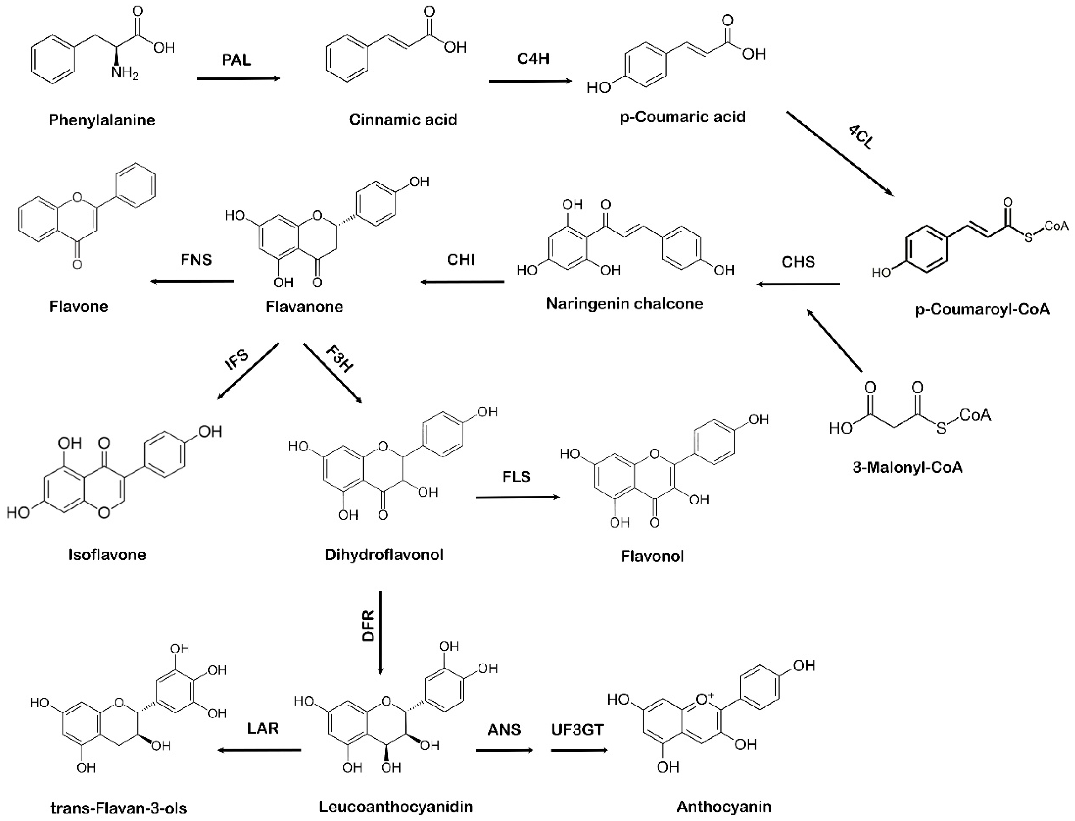 Metabolites 13 00124 g002 Metabolites 13 00124 g002