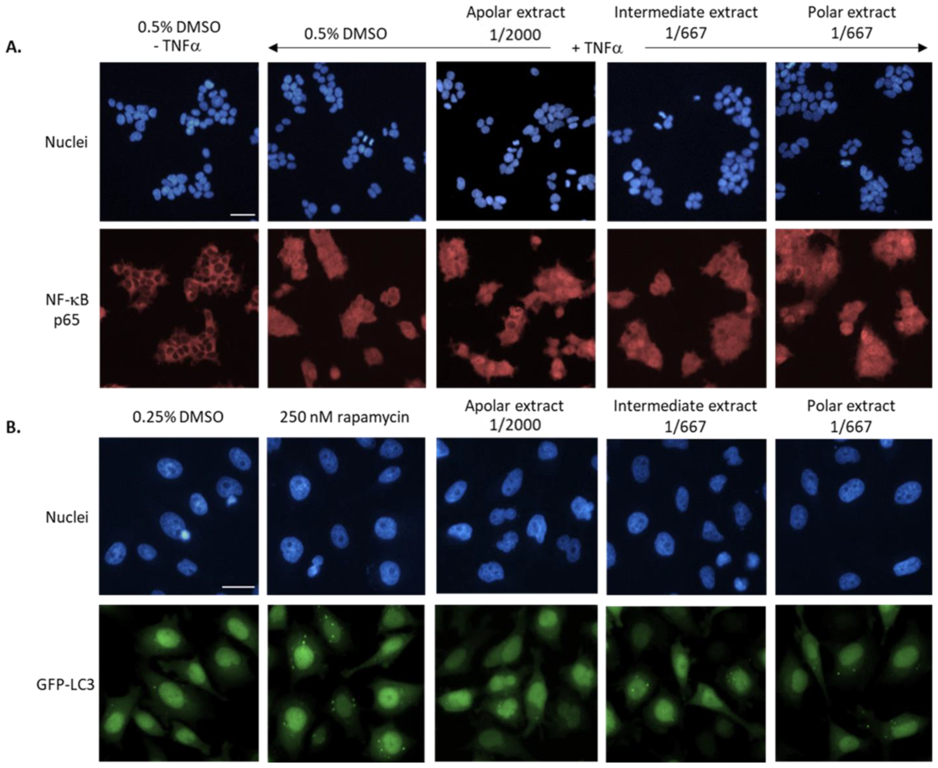 Metabolites 13 00128 g005 Metabolites 13 00128 g005