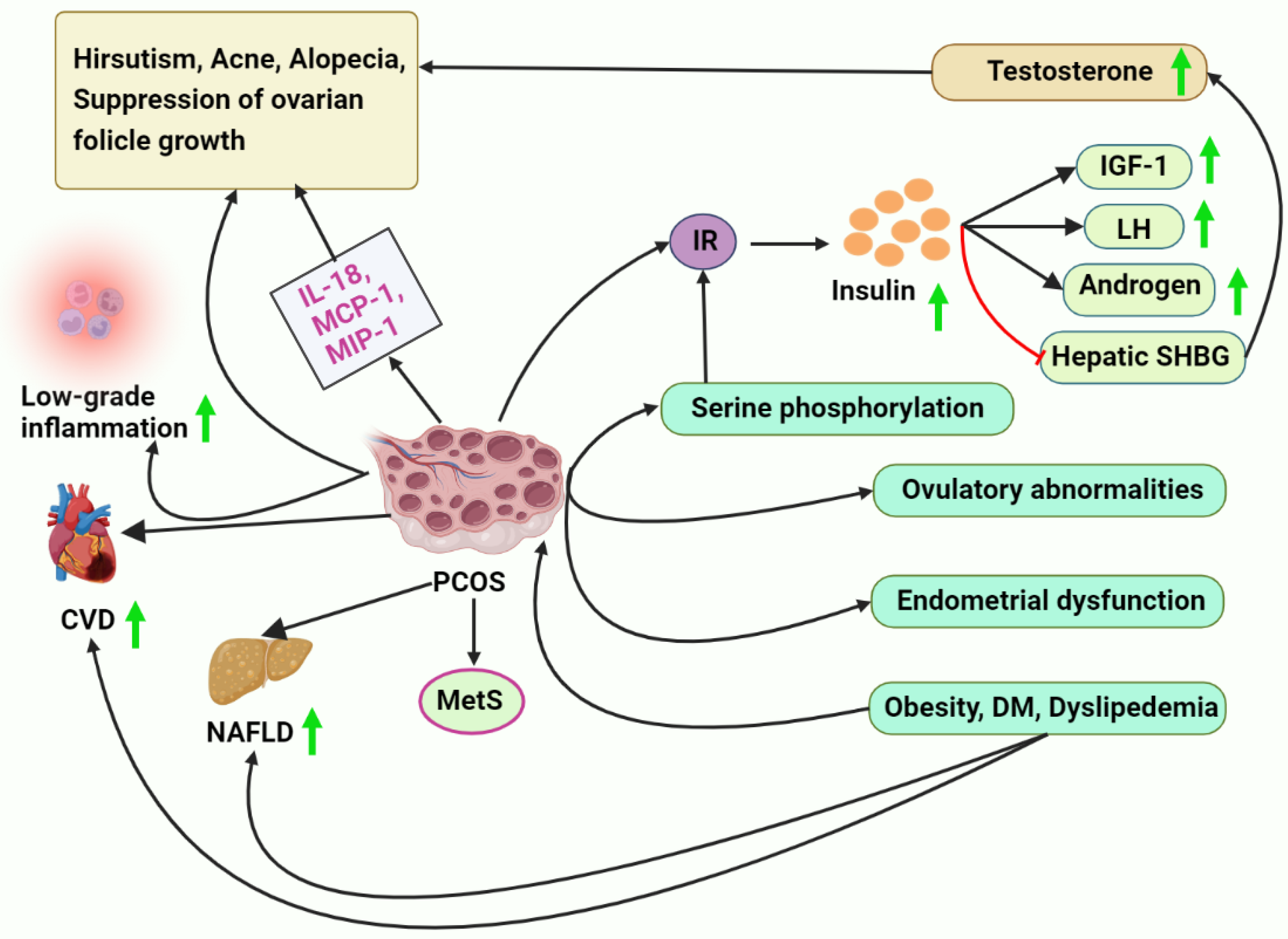 Metabolites 13 00129 g001 Metabolites 13 00129 g001