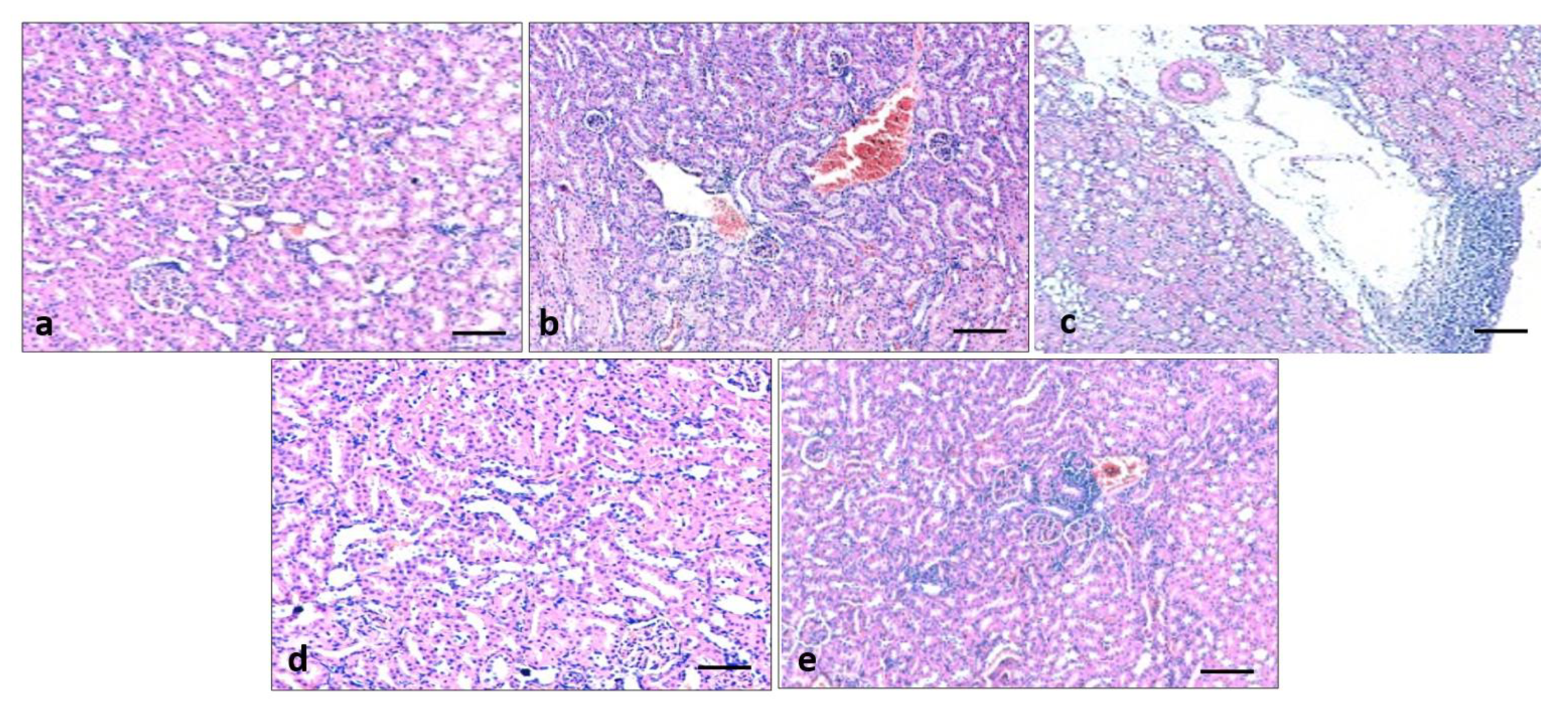 Metabolites 13 00130 g008 Metabolites 13 00130 g008