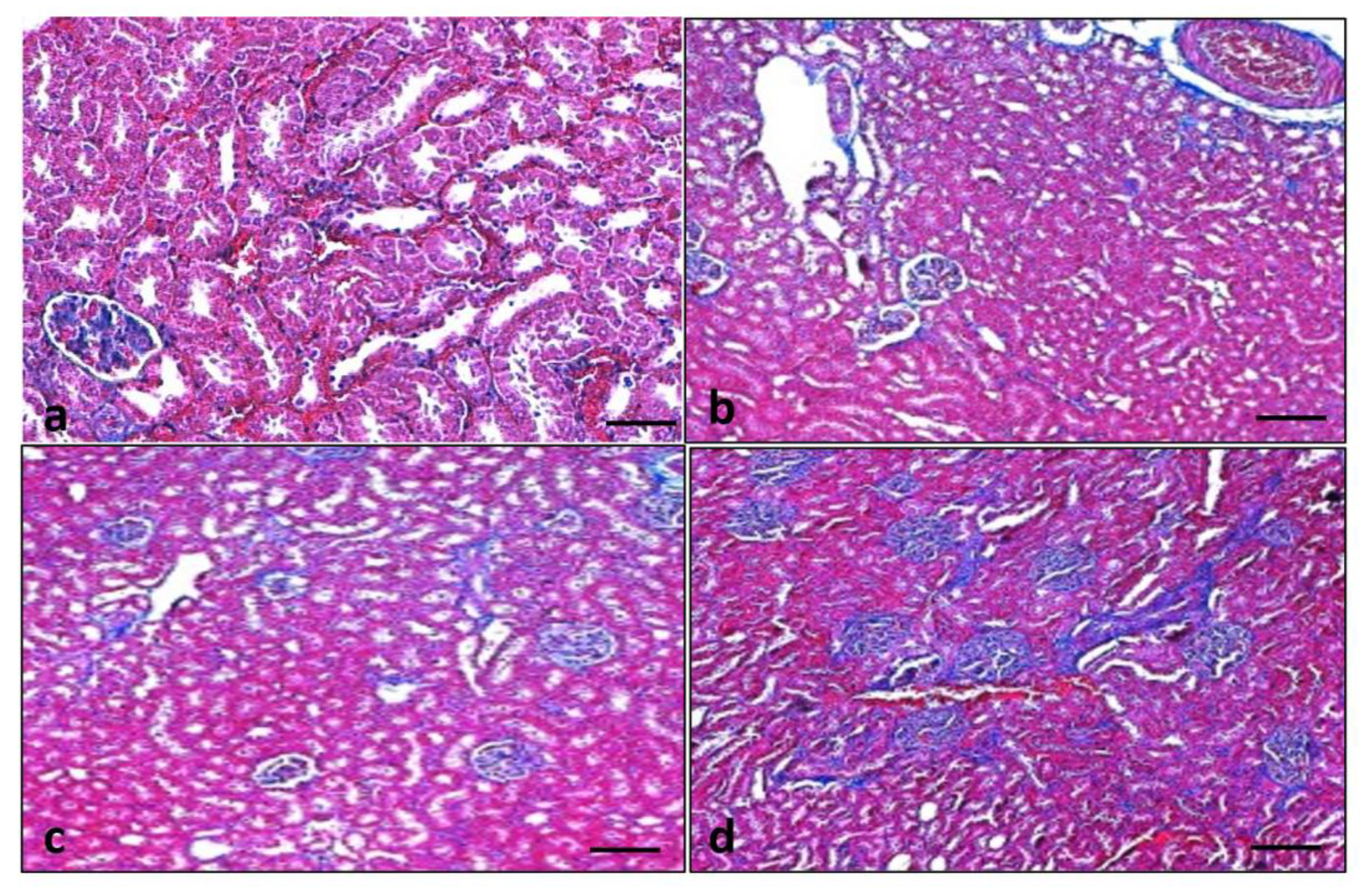 Metabolites 13 00130 g009 Metabolites 13 00130 g009