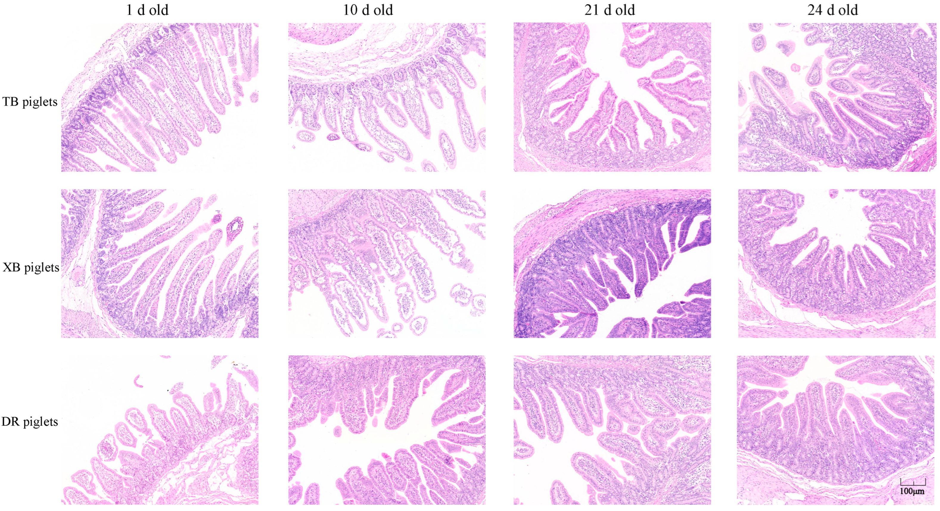 Metabolites 13 00132 g001 Metabolites 13 00132 g001