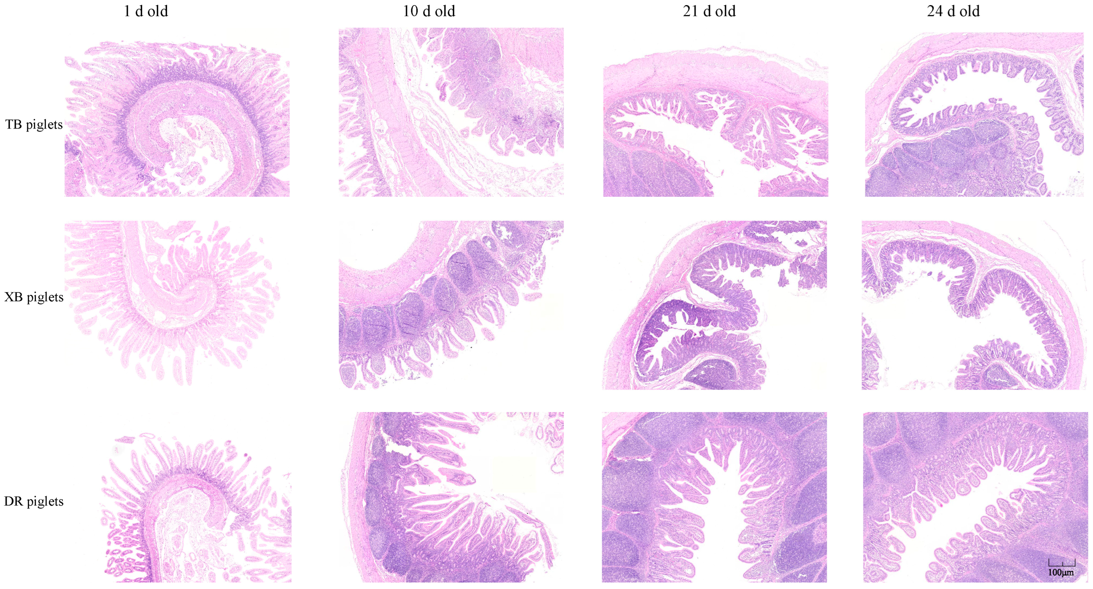 Metabolites 13 00132 g002 Metabolites 13 00132 g002