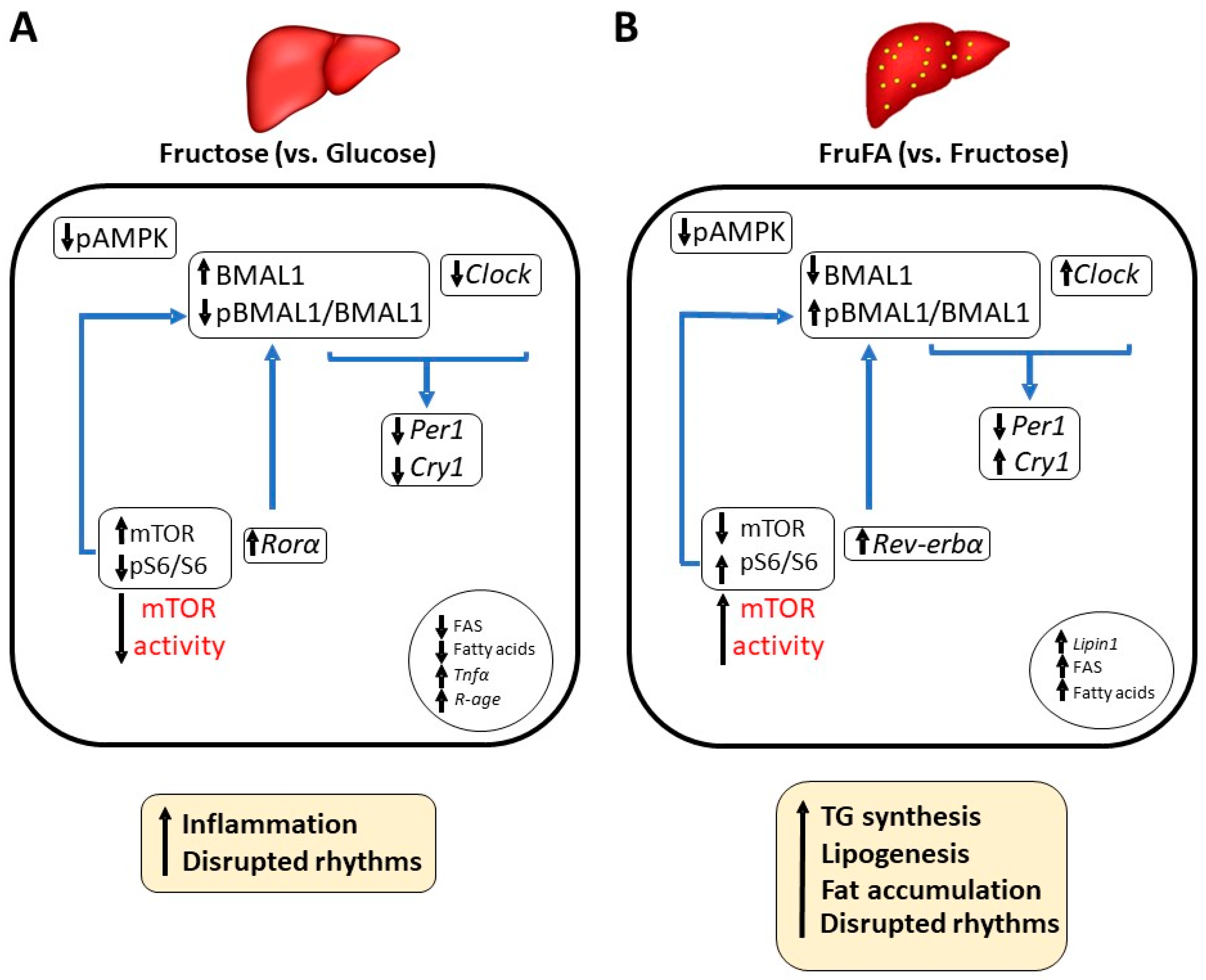 Metabolites 13 00138 g006 Metabolites 13 00138 g006