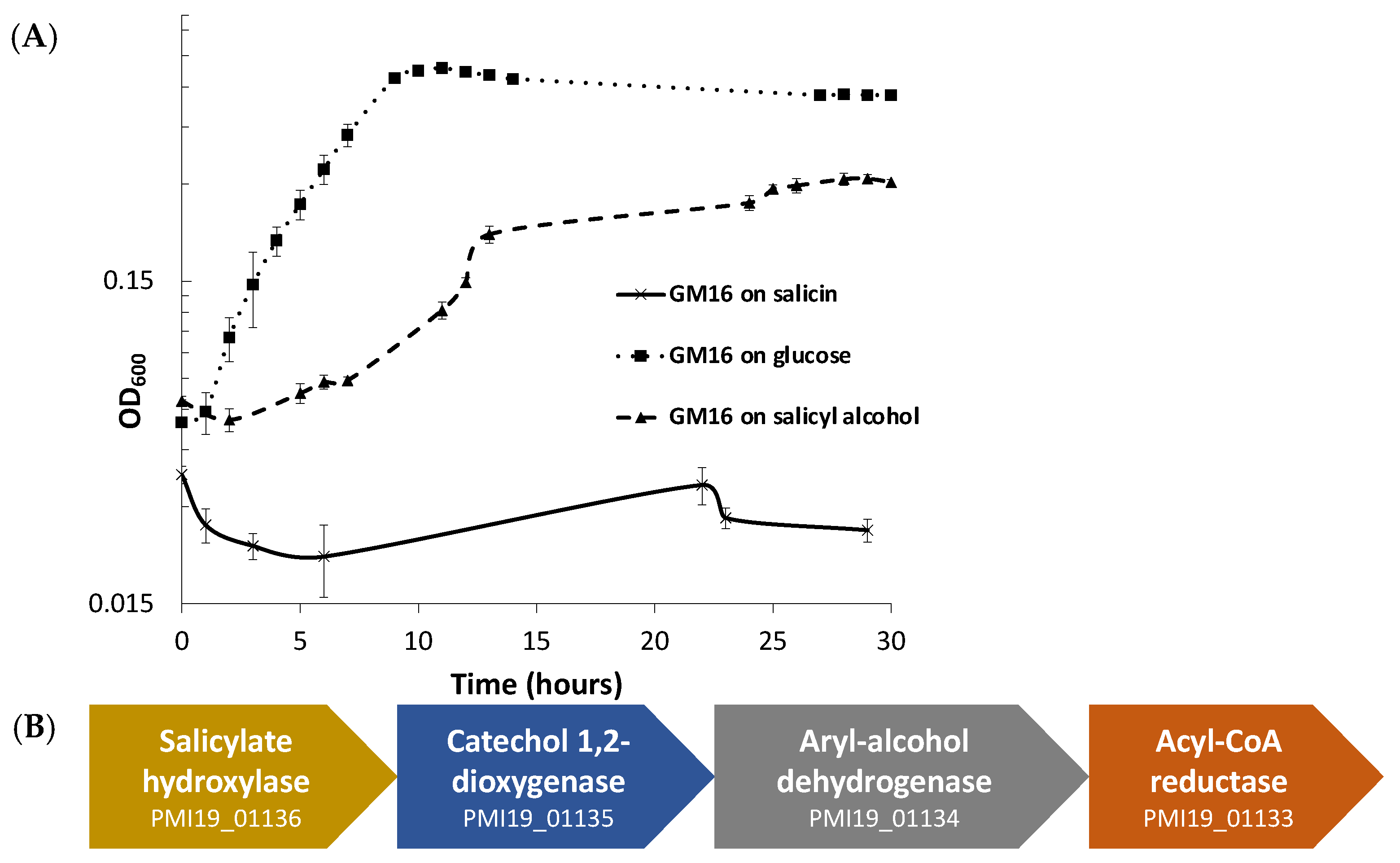 Metabolites 13 00140 g001