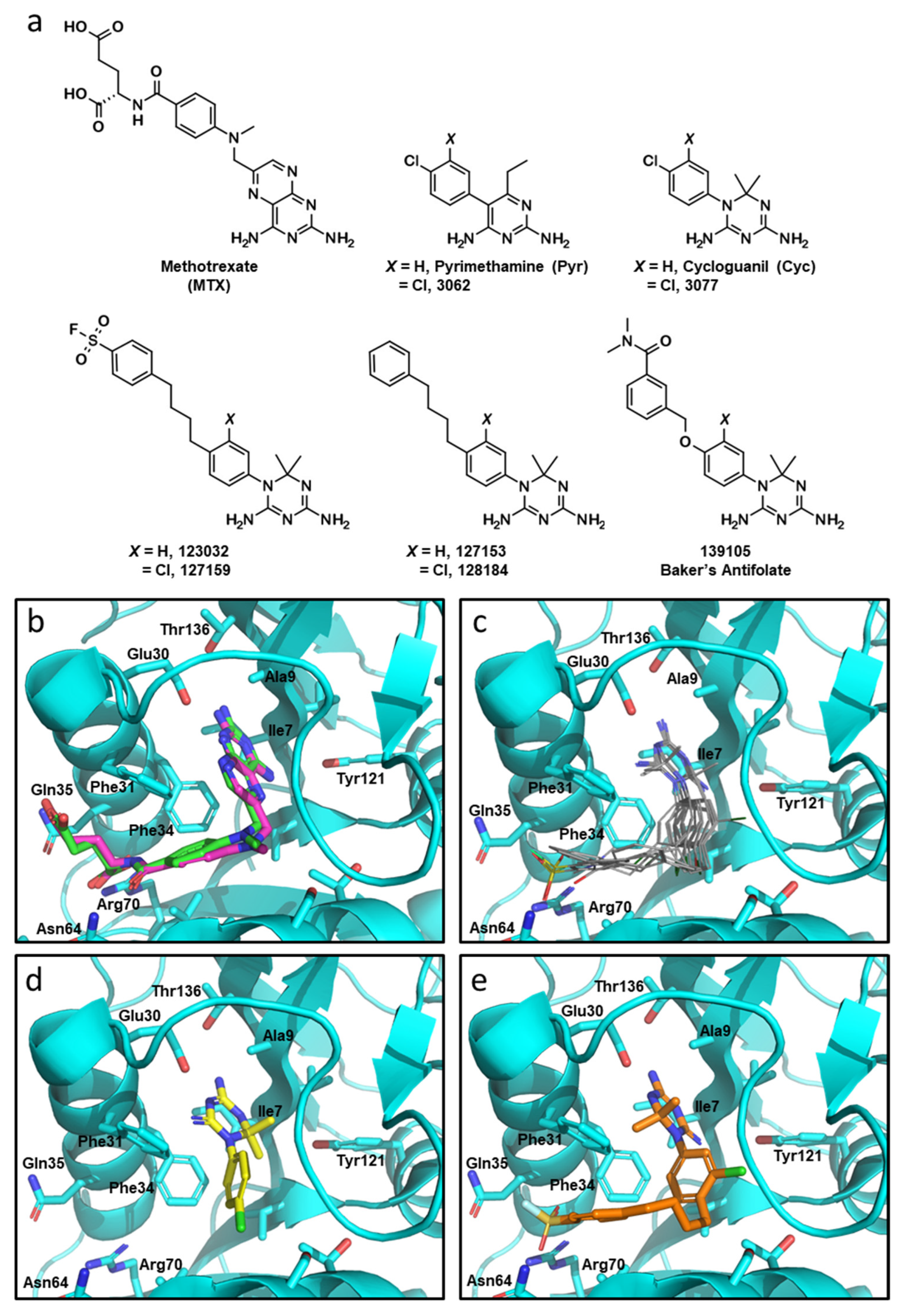 Metabolites 13 00151 g001 Metabolites 13 00151 g001