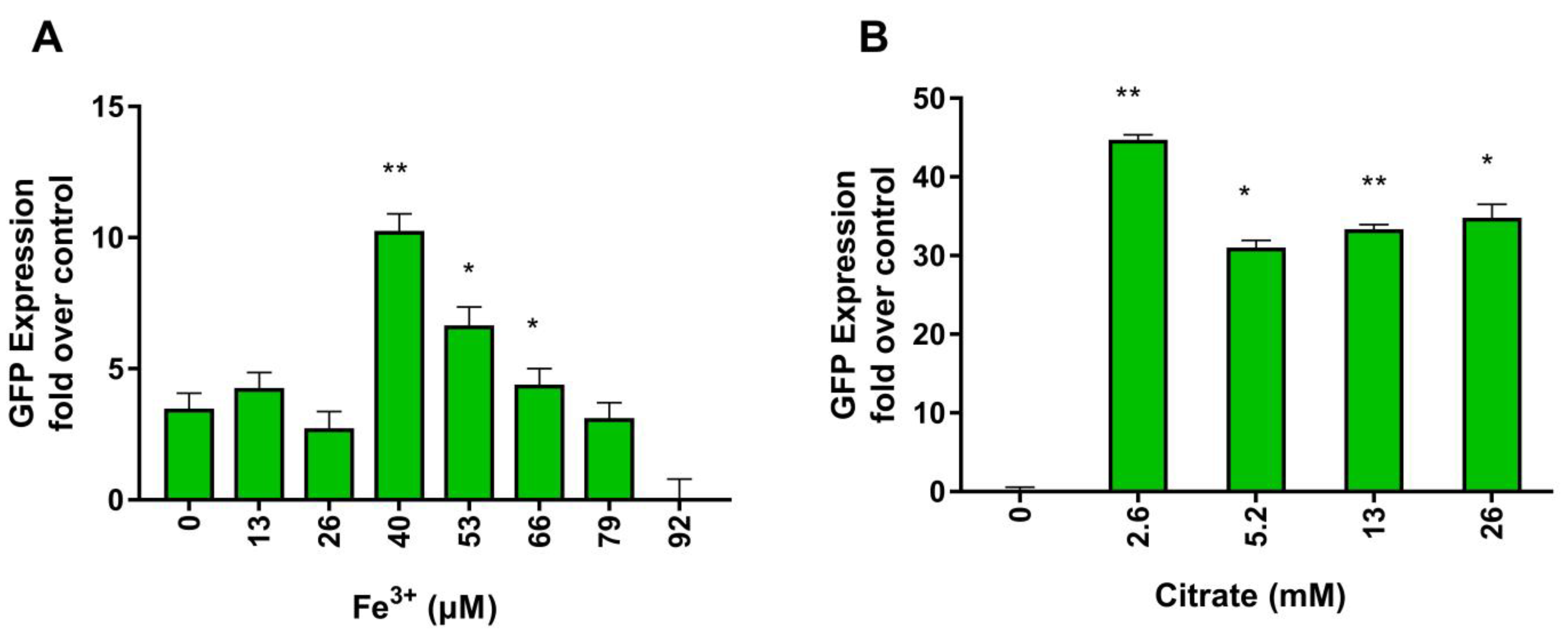 Metabolites 13 00154 g002 Metabolites 13 00154 g002