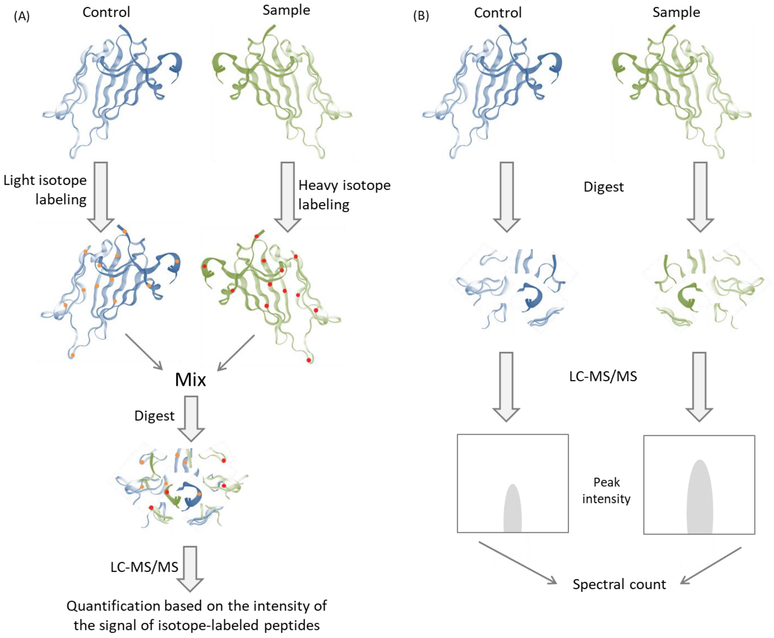 Metabolites 13 00155 g004