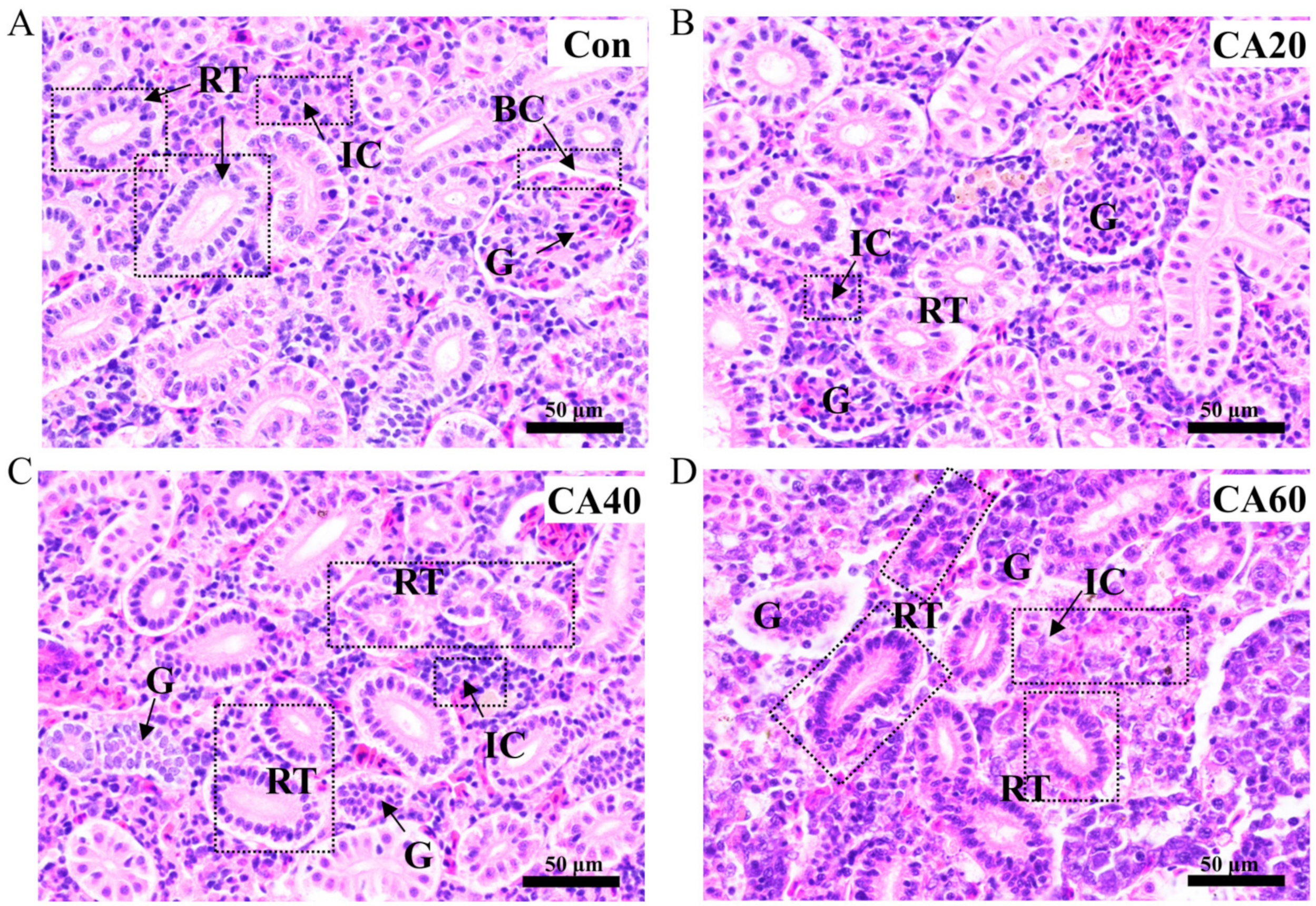 Metabolites 13 00159 g002 Metabolites 13 00159 g002