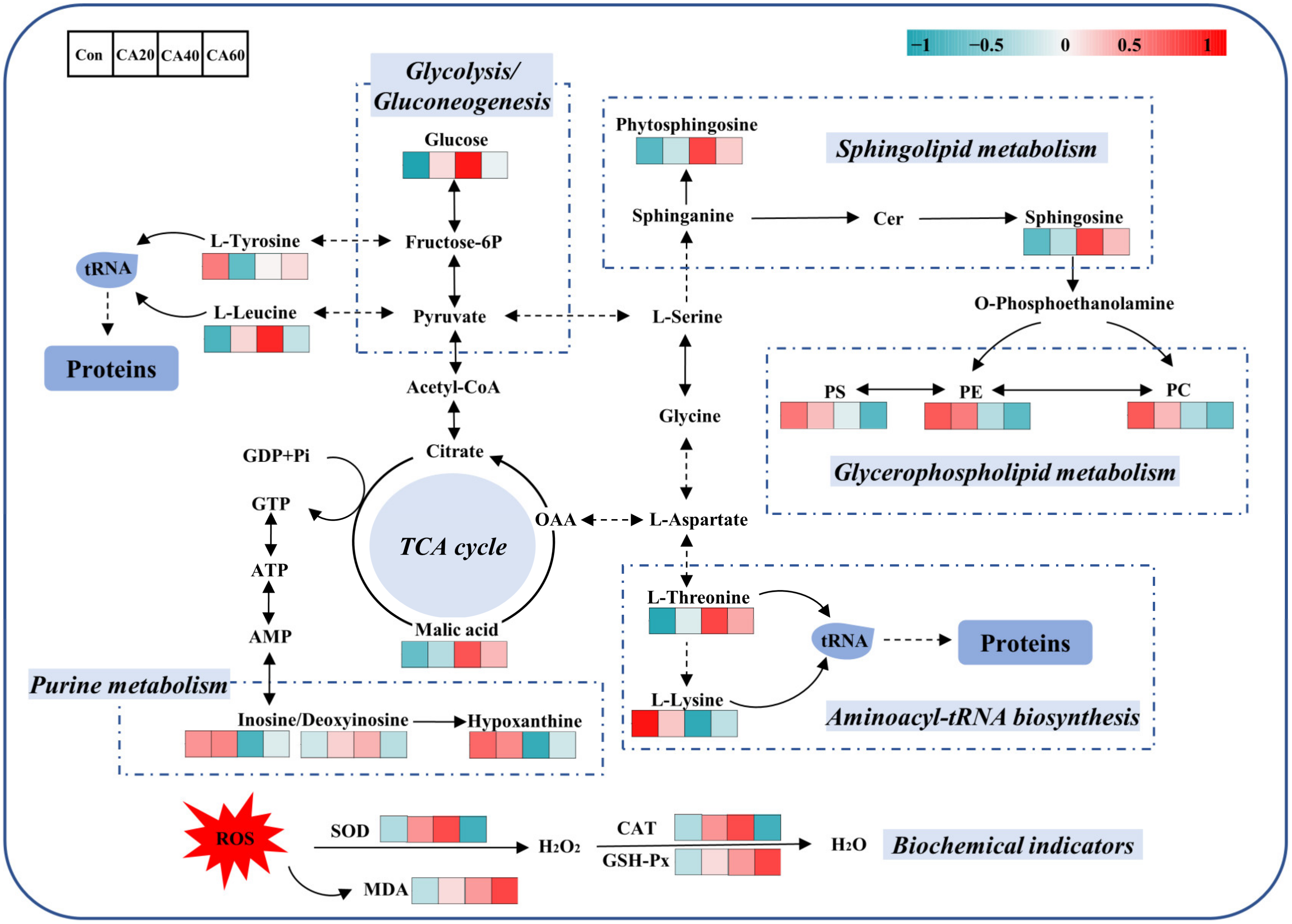 Metabolites 13 00159 g007 Metabolites 13 00159 g007