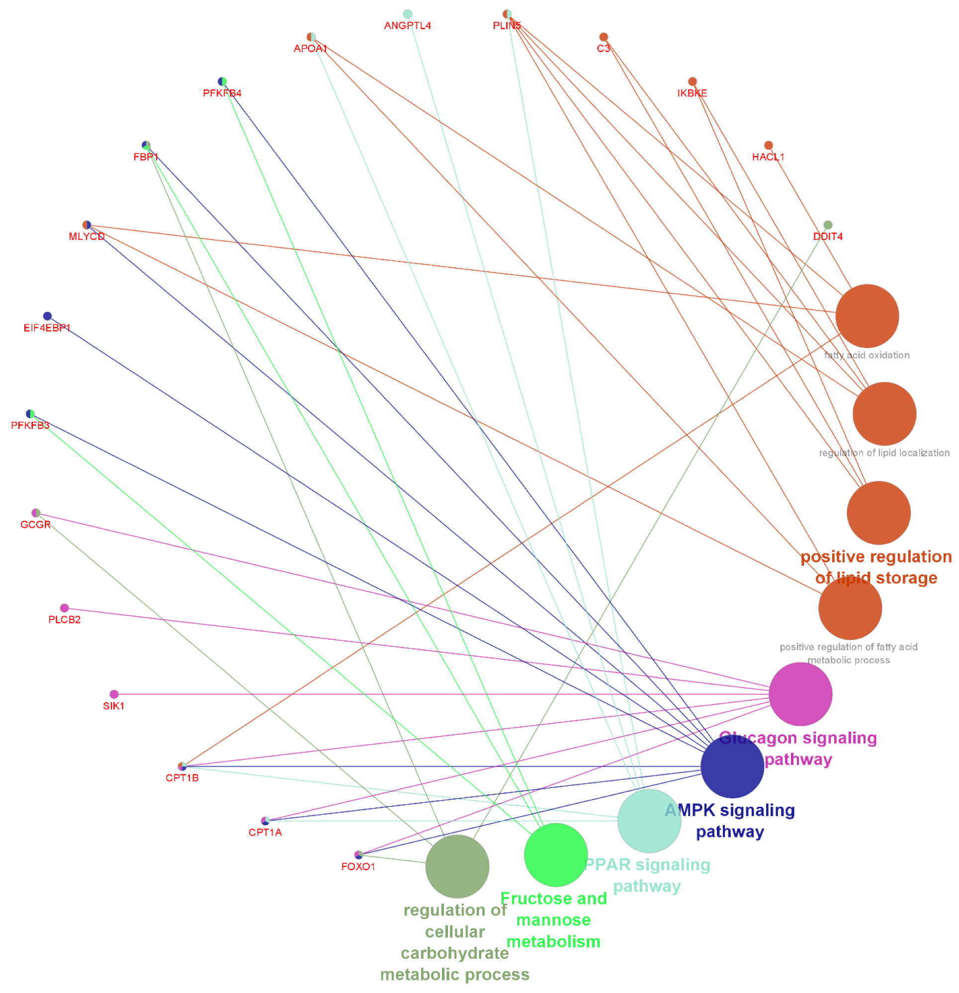 Metabolites 13 00160 g006 Metabolites 13 00160 g006