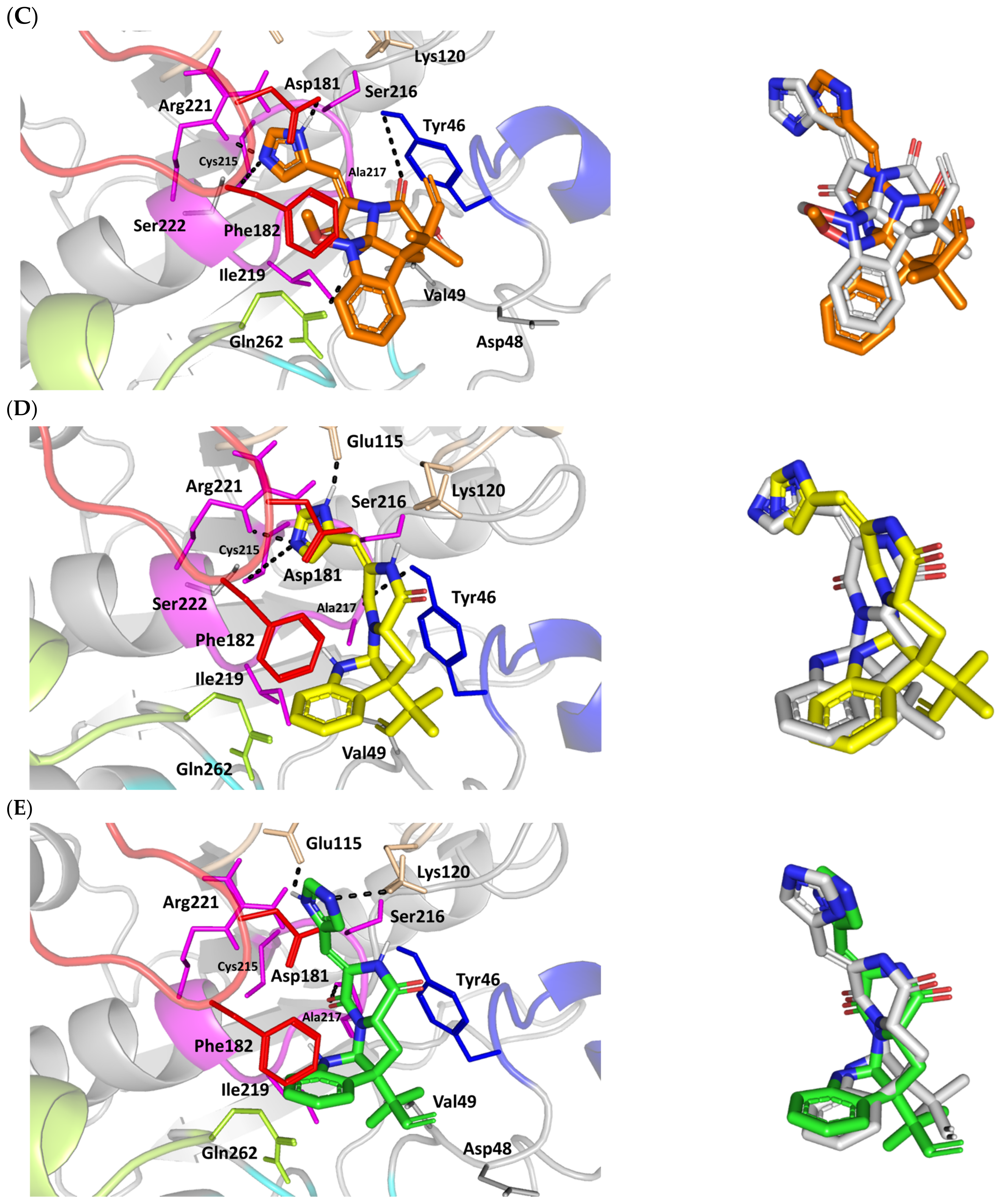 Metabolites 13 00162 g003b